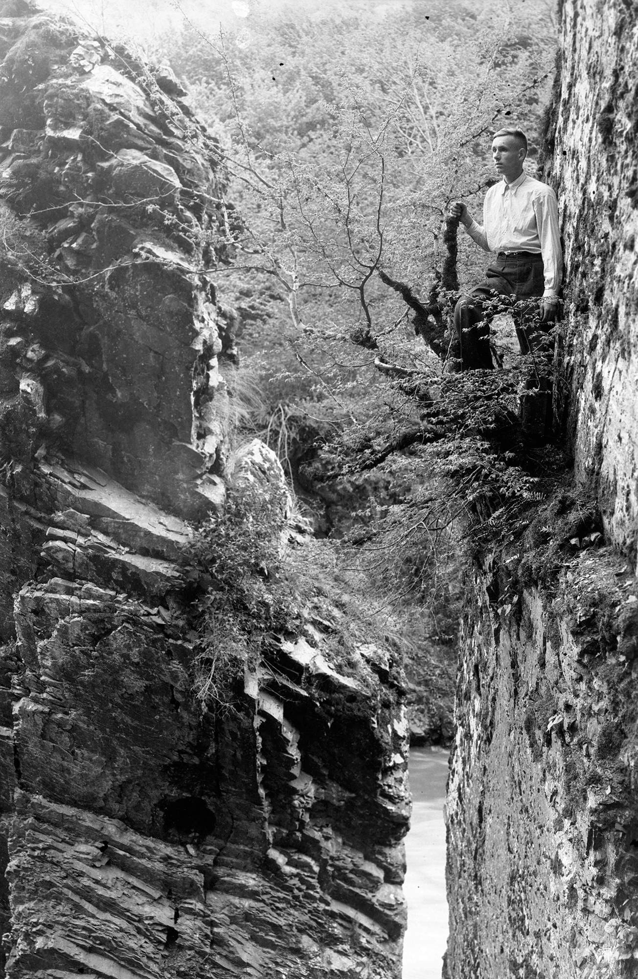 Геннадий Кук. Курортное дело