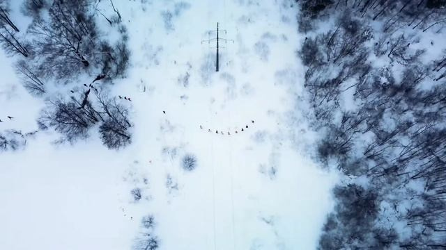 Видео. Павел Шарапов | Фотограф | Москва