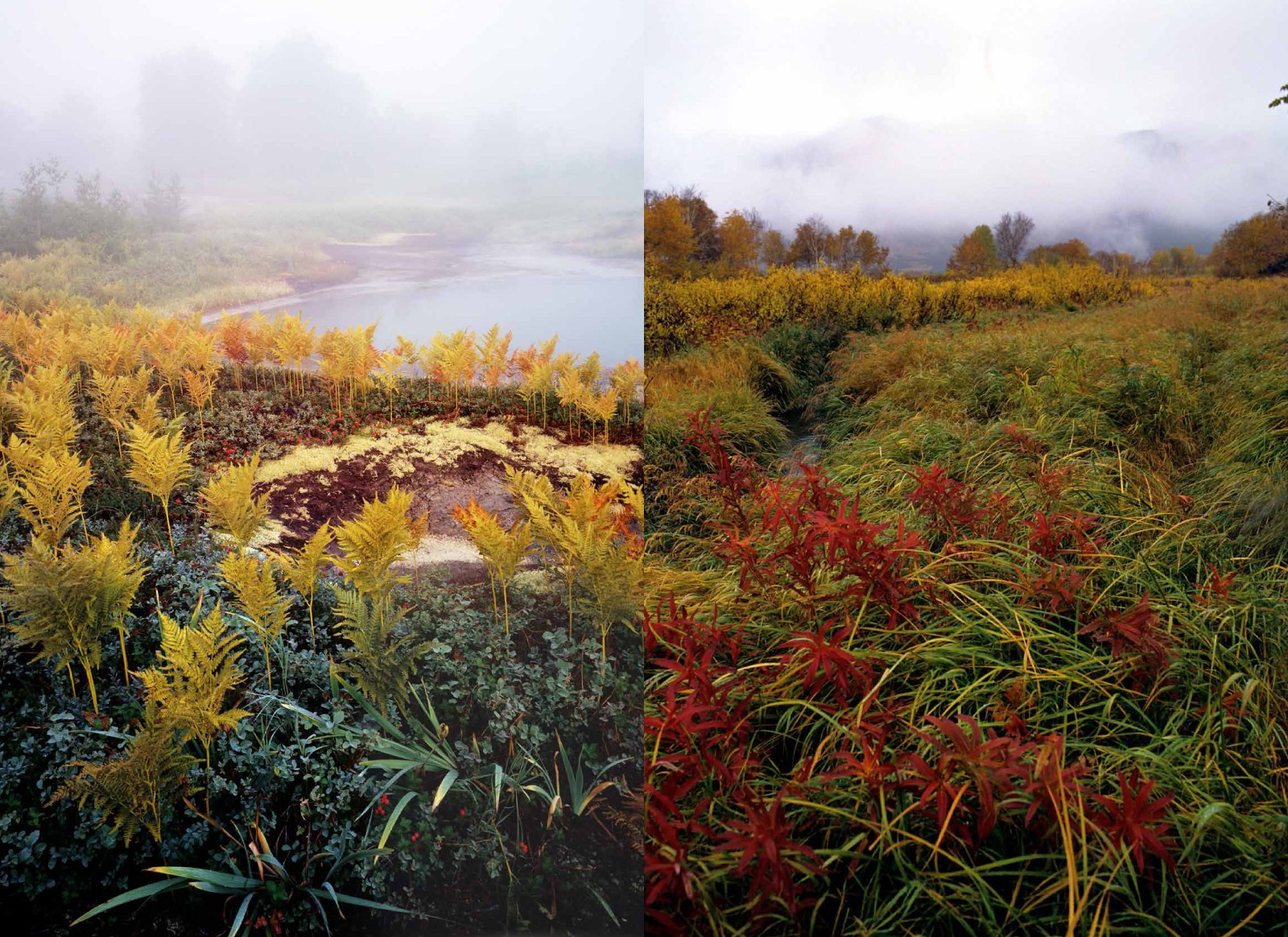 Коллекционные альбомы. ВАДИМ ГИППЕНРЕЙТЕР — ВЕЛИКИЙ ФОТОГРАФ ЗЕМЛИ РУССКОЙ
