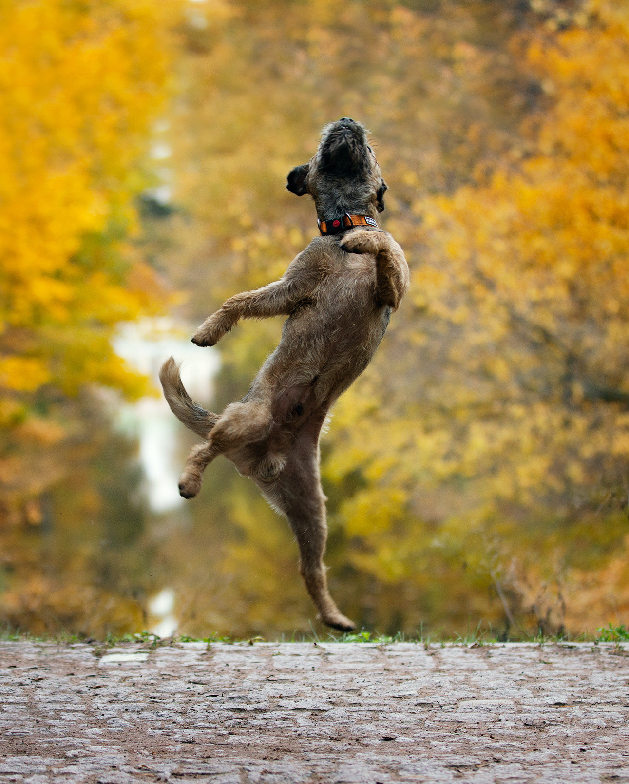 Фотограф в Москве Дудкова Юлия
