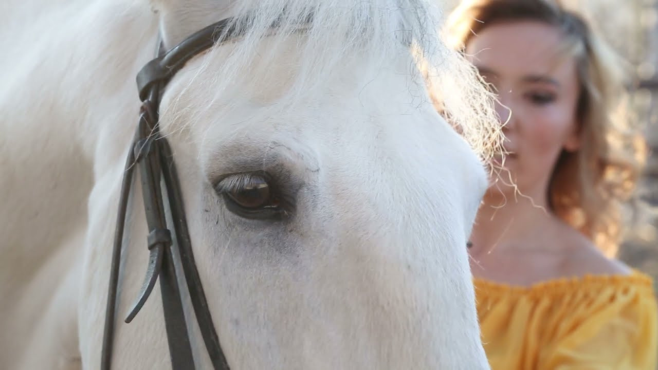 Фотосессия Екатерины и Воробья. Фотосессия с лошадьми в Нижнем Новгороде