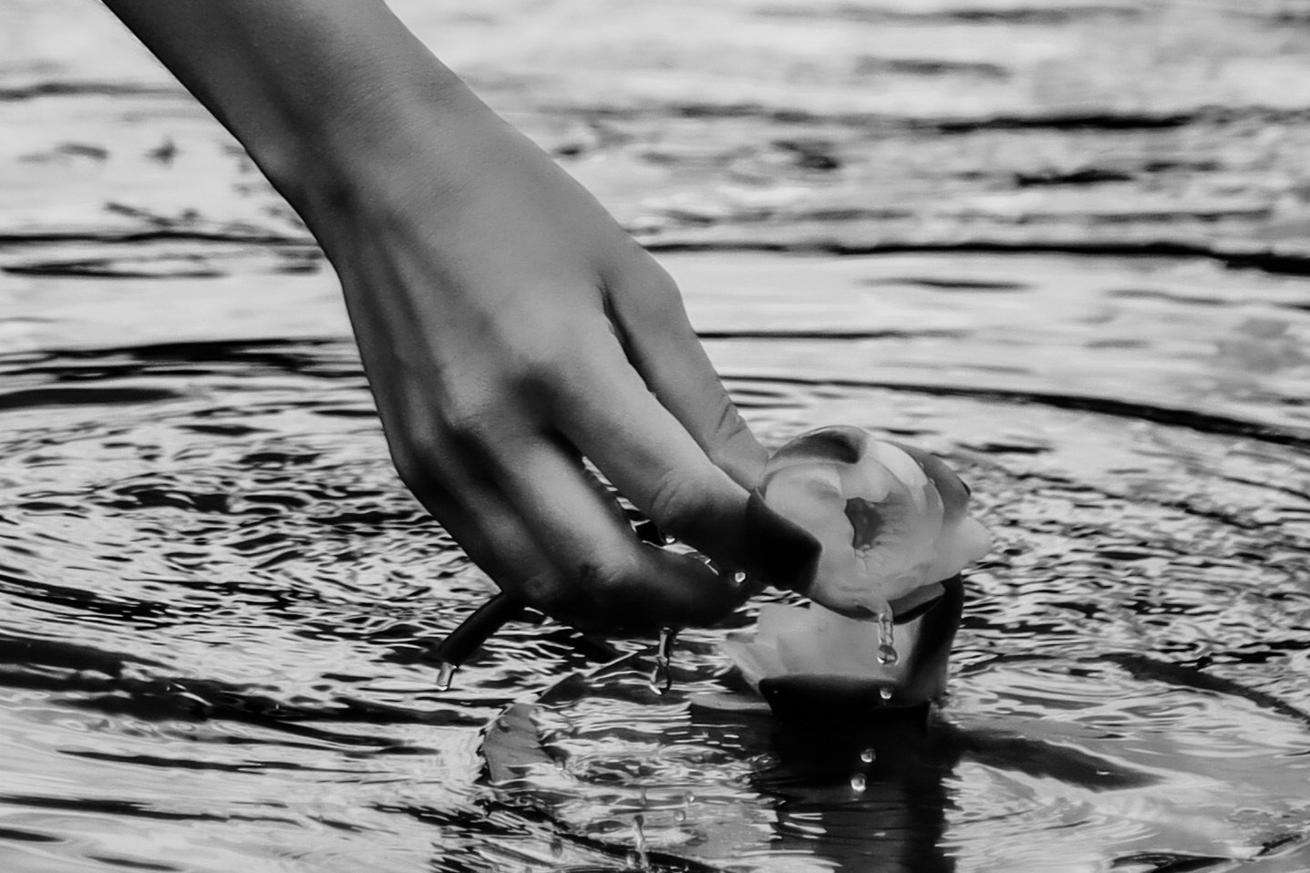 Ирина, фотограф Москва/Бутово