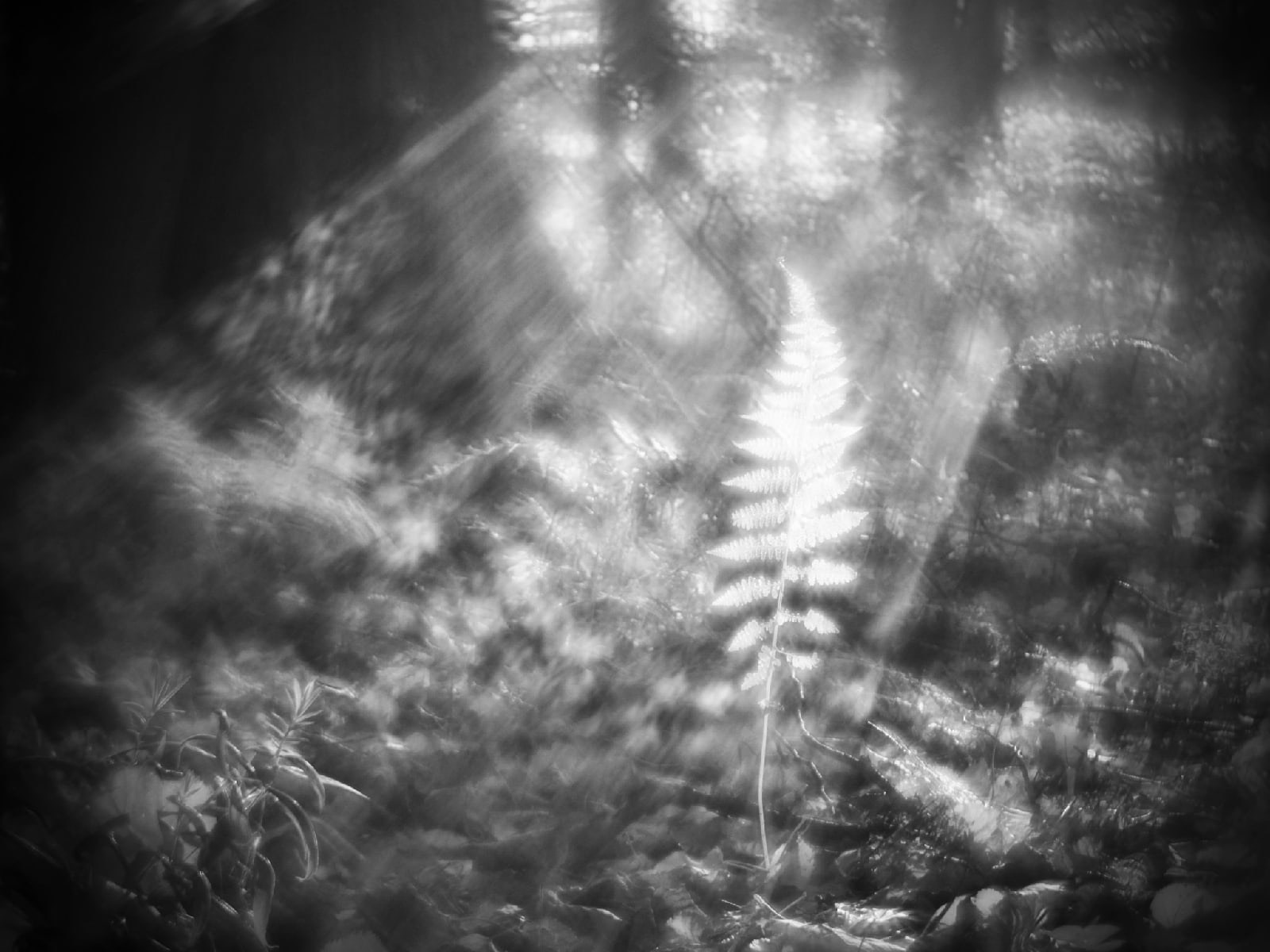 Елена Гонтаренко — художественный портрет. Фотограф в России, Семейный фотограф, репортажный фотограф, детский фотограф, портретный фотограф, контент фотограф, универсальный фотограф