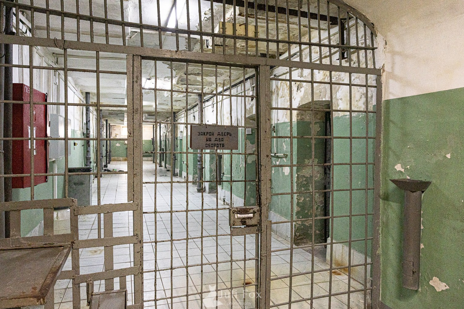 Репортажная фотосъемка во Владивостоке. Портретный, свадебный, репортажный фотограф во Владивостоке Юлиана Джули Фокс