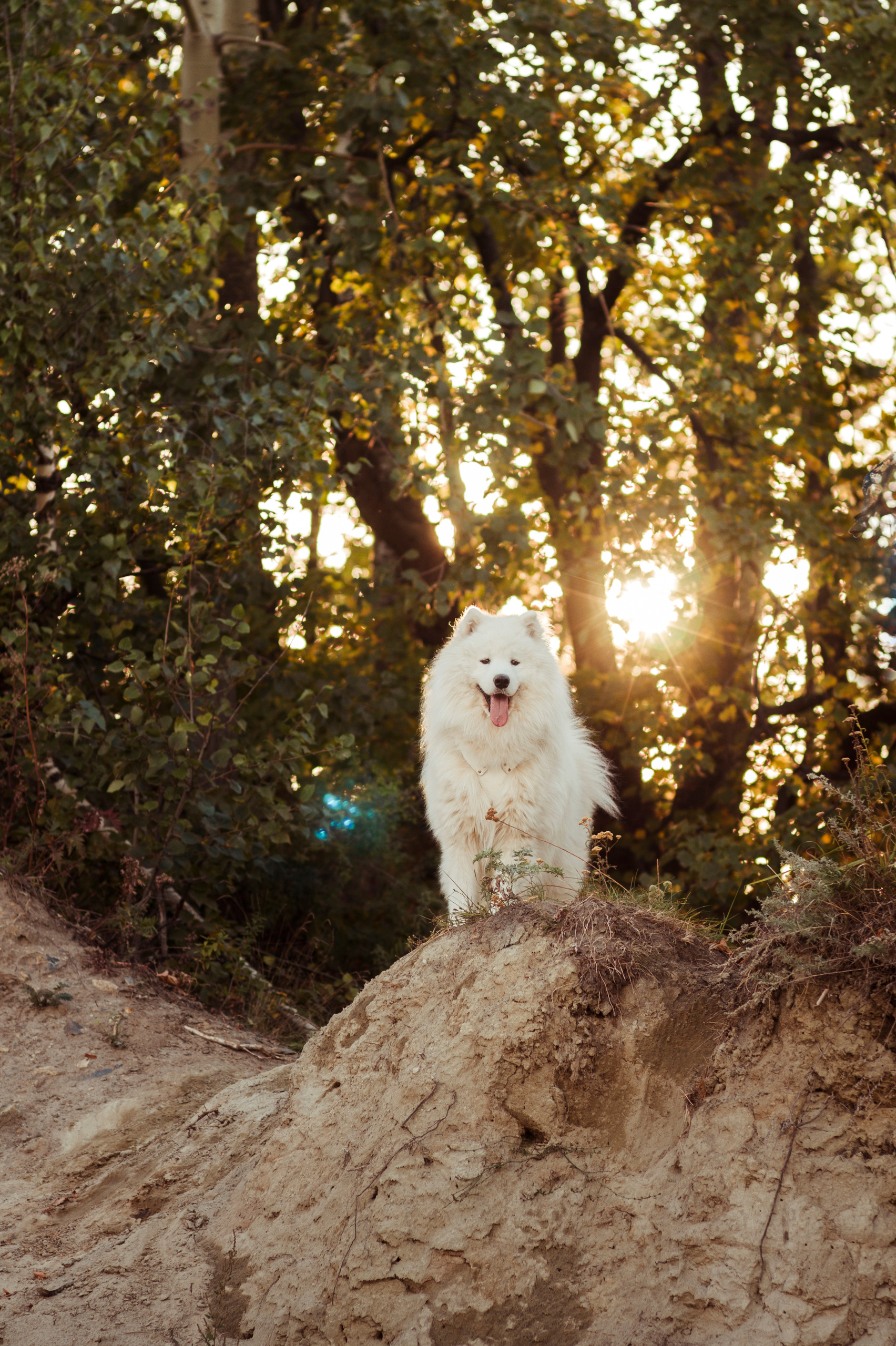 Семейная фотосъемка. Фотограф Катерина Тюрина. Саратов