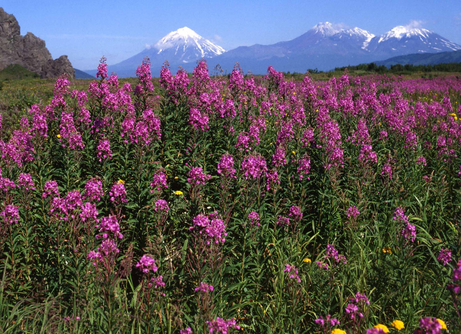 Коллекционные альбомы. ВАДИМ ГИППЕНРЕЙТЕР — ВЕЛИКИЙ ФОТОГРАФ ЗЕМЛИ РУССКОЙ
