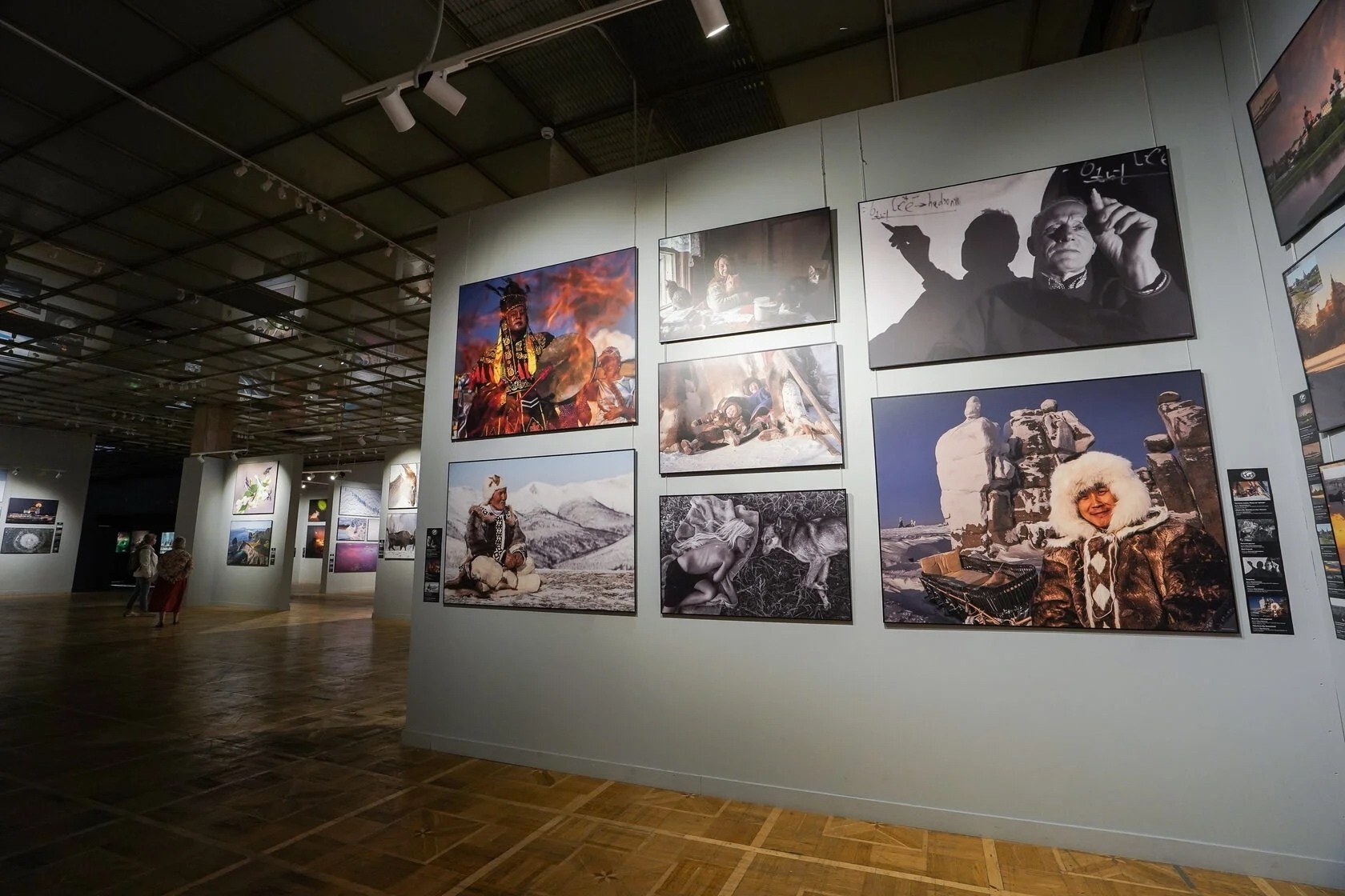 Новости. Фотографии Лены Соколовой