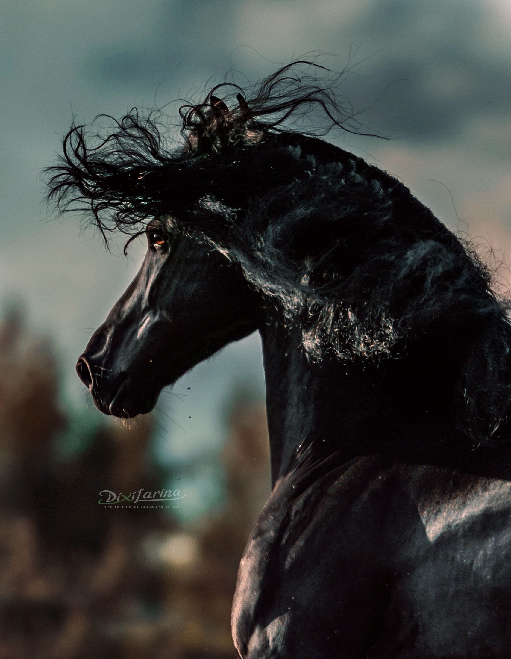 Friesian Alliance. Фризы Росиии