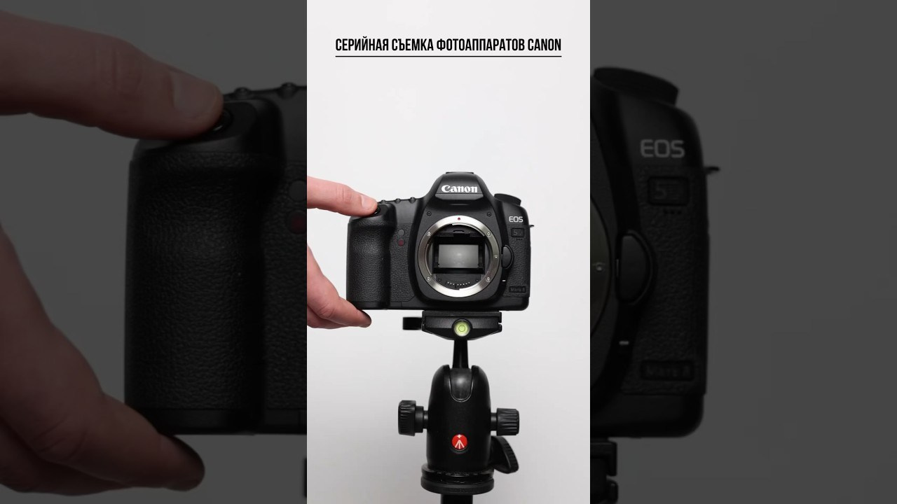 Серийная фотосъемка фотоаппаратов Canon. Фотограф Александр Бормотин