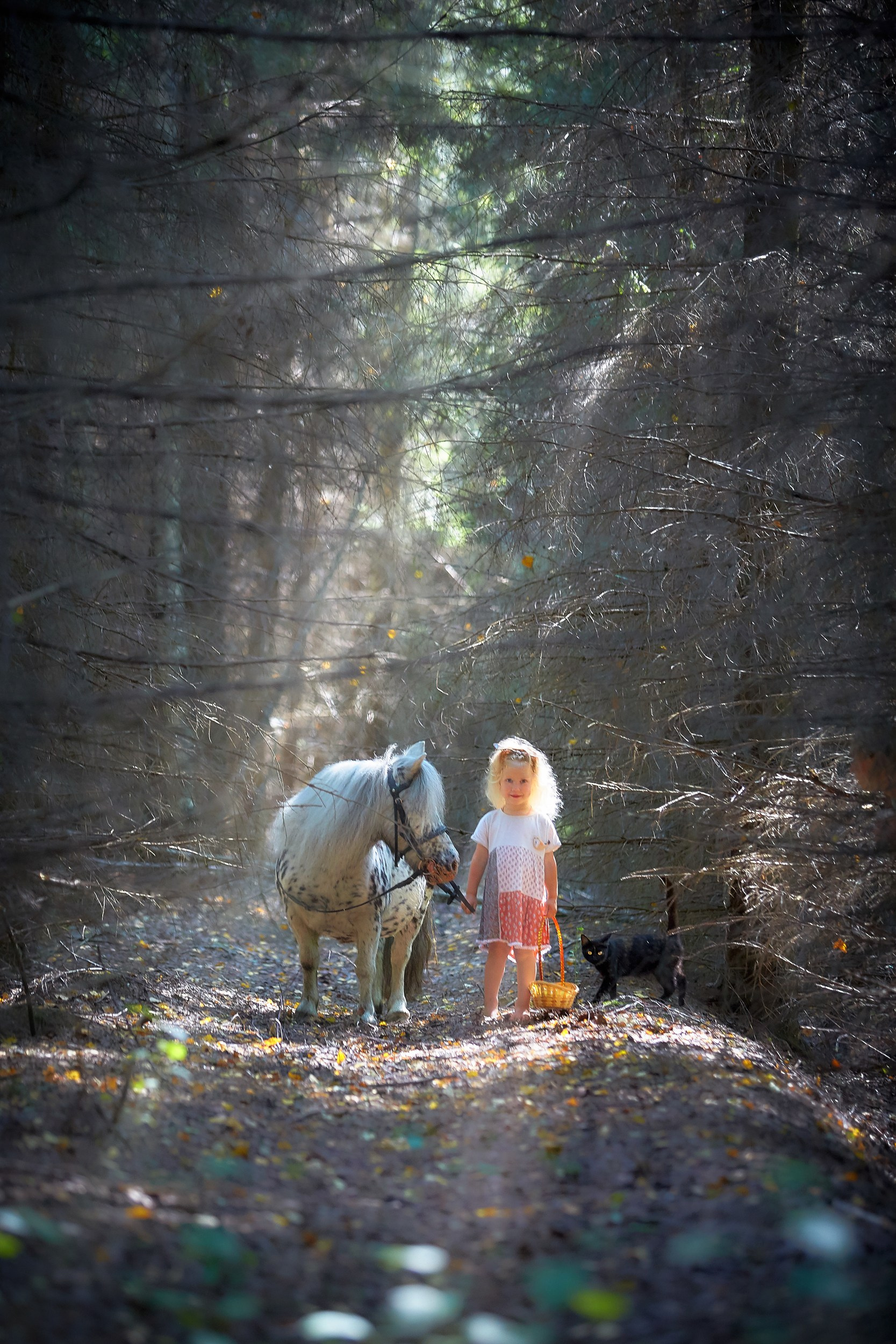 Фотосессия с лошадьми Фотограф Михаил Семенов, г. Ярославль
