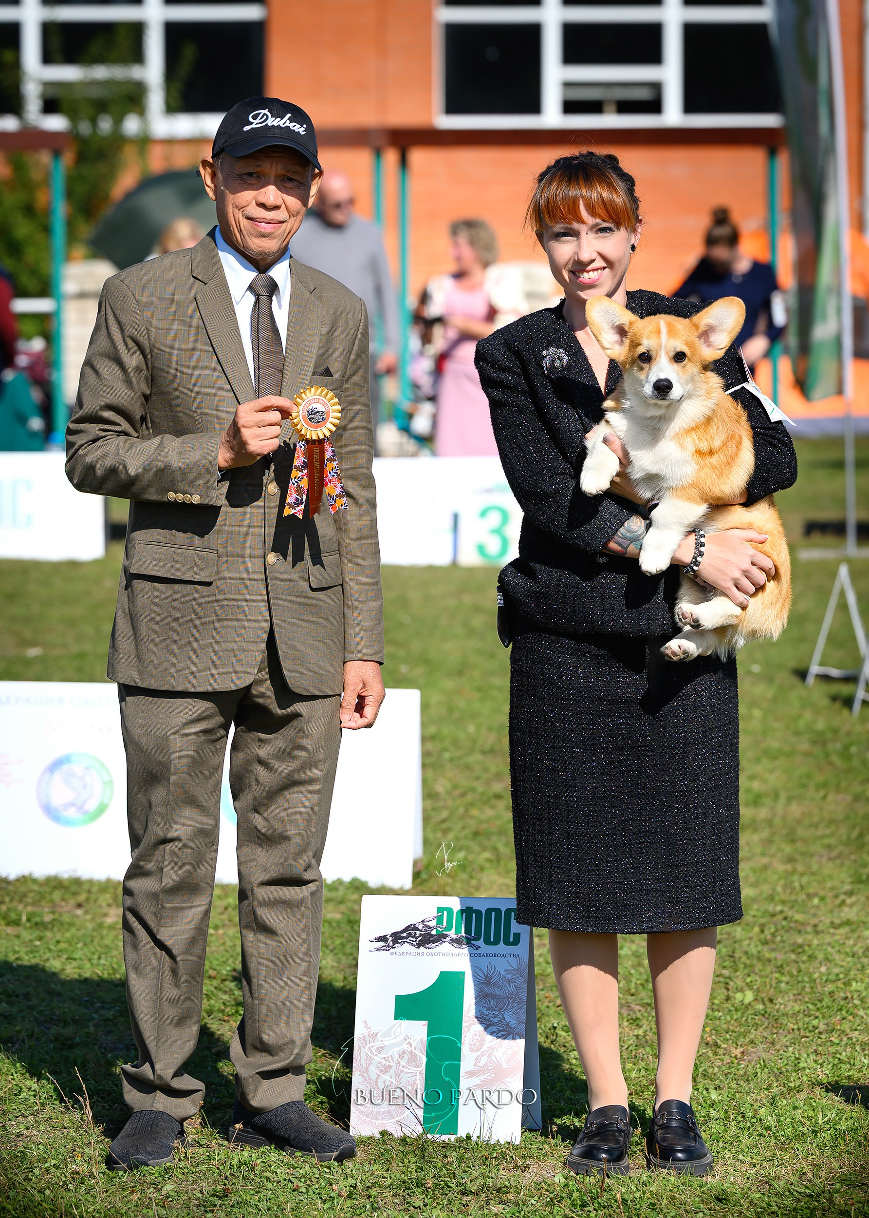 КОРГИ. Kawaii Kuma питомник собак пород Корги пемброк, Акита ину, Сиба
