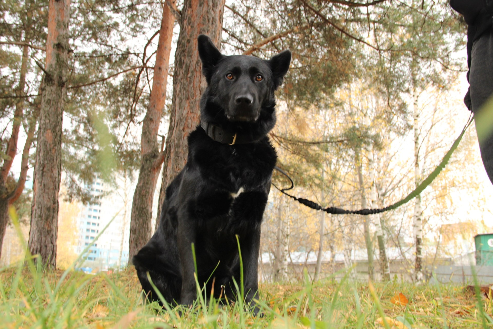 Катя Попова|ЛайфСтайл фотограф