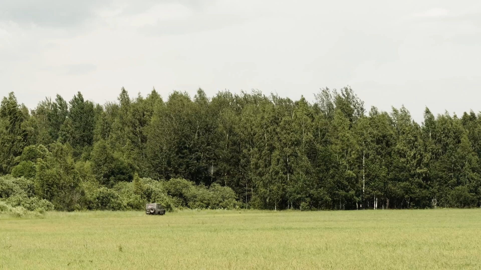 Поездка за берестой для рожка