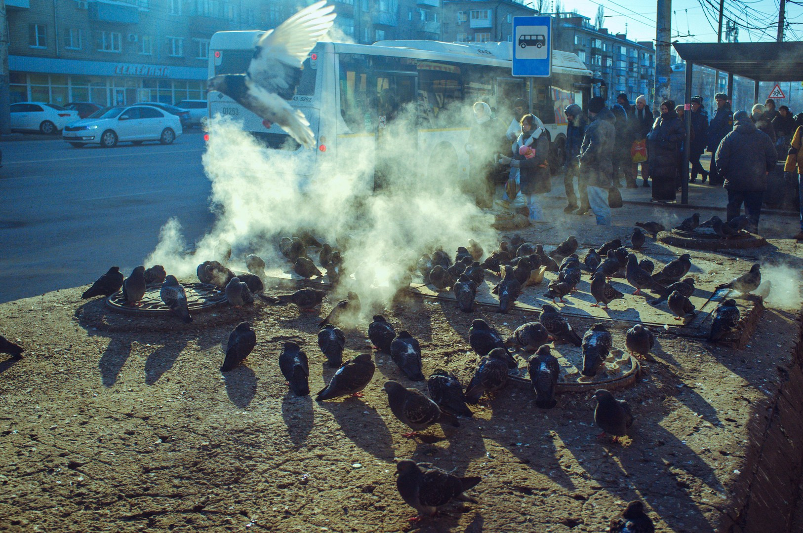 Руслан Шувалов (поэтограф)