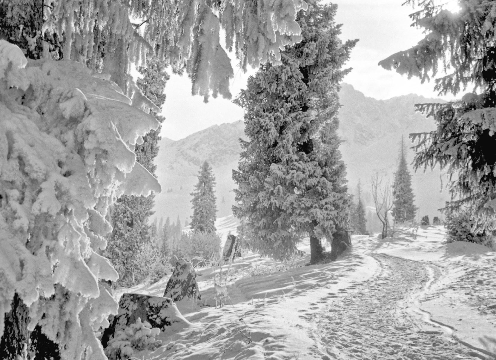 Коллекционные альбомы. ВАДИМ ГИППЕНРЕЙТЕР — ВЕЛИКИЙ ФОТОГРАФ ЗЕМЛИ РУССКОЙ