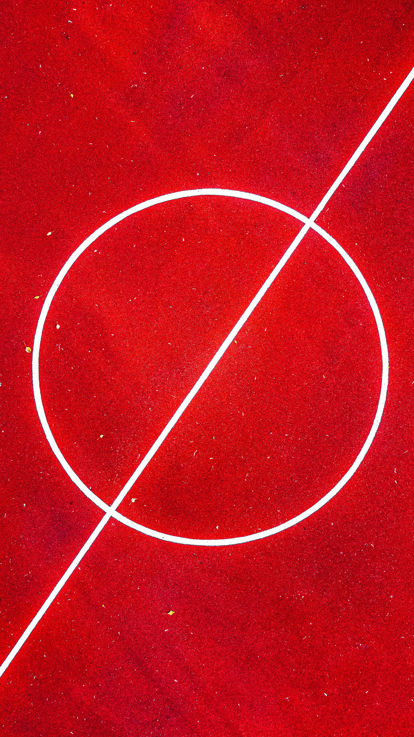 Фотографии с DJI Mavic Mini. Свадебный фотограф в Москве | Антон Матвеев