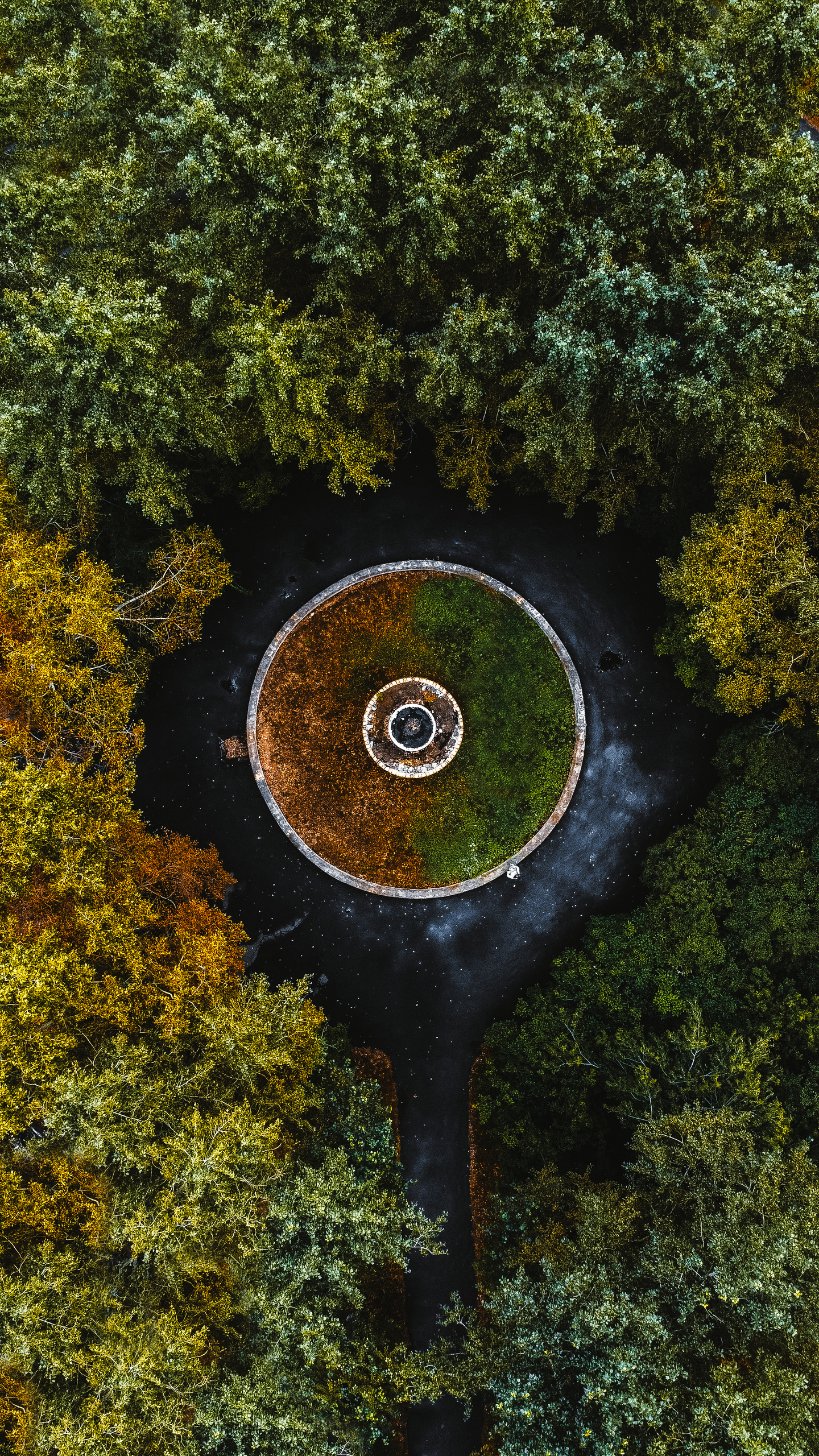 Фотографии с DJI Mavic Mini. Свадебный фотограф в Москве | Антон Матвеев