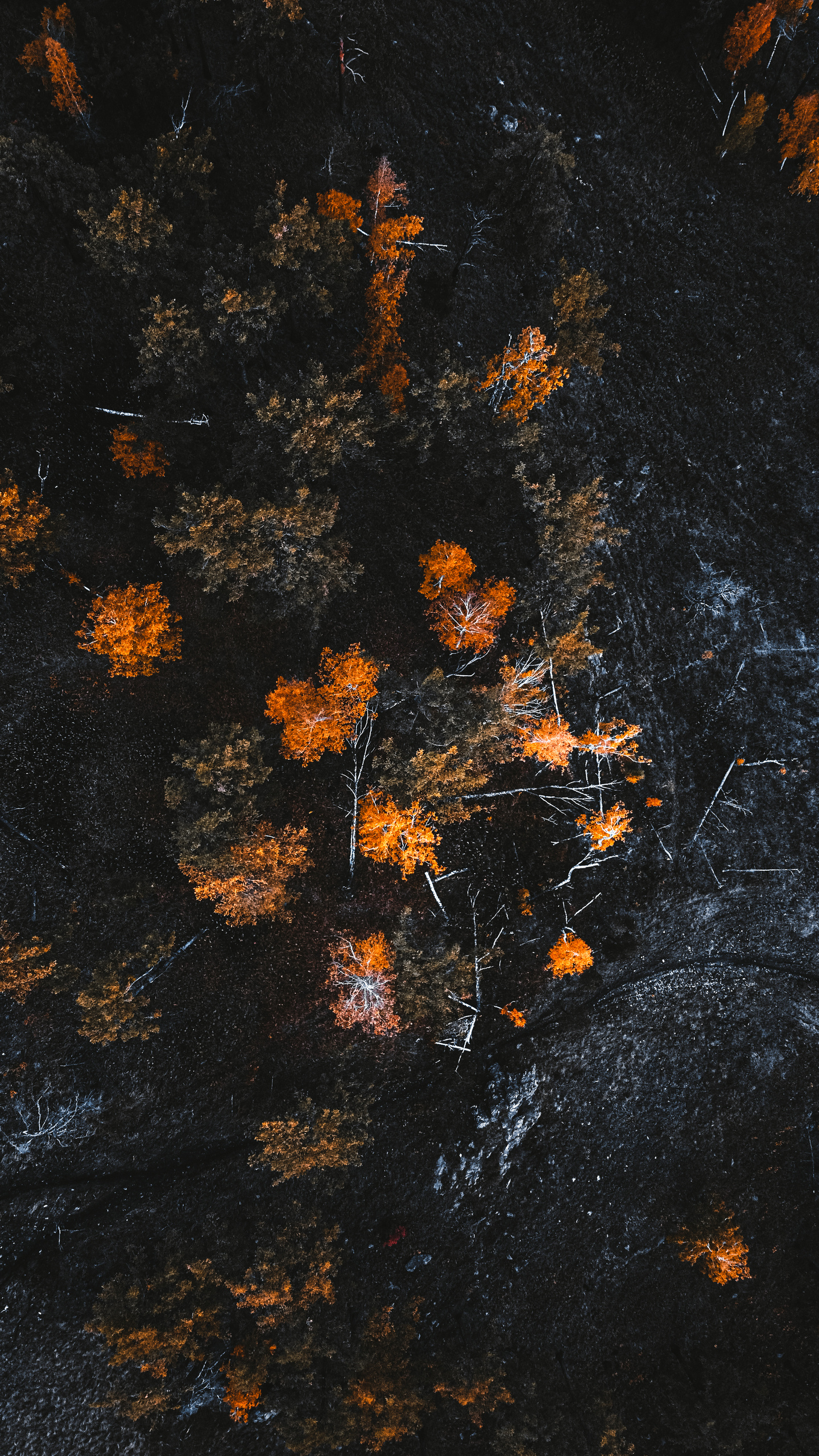 Фотографии с DJI Mavic Mini. Свадебный фотограф в Москве | Антон Матвеев