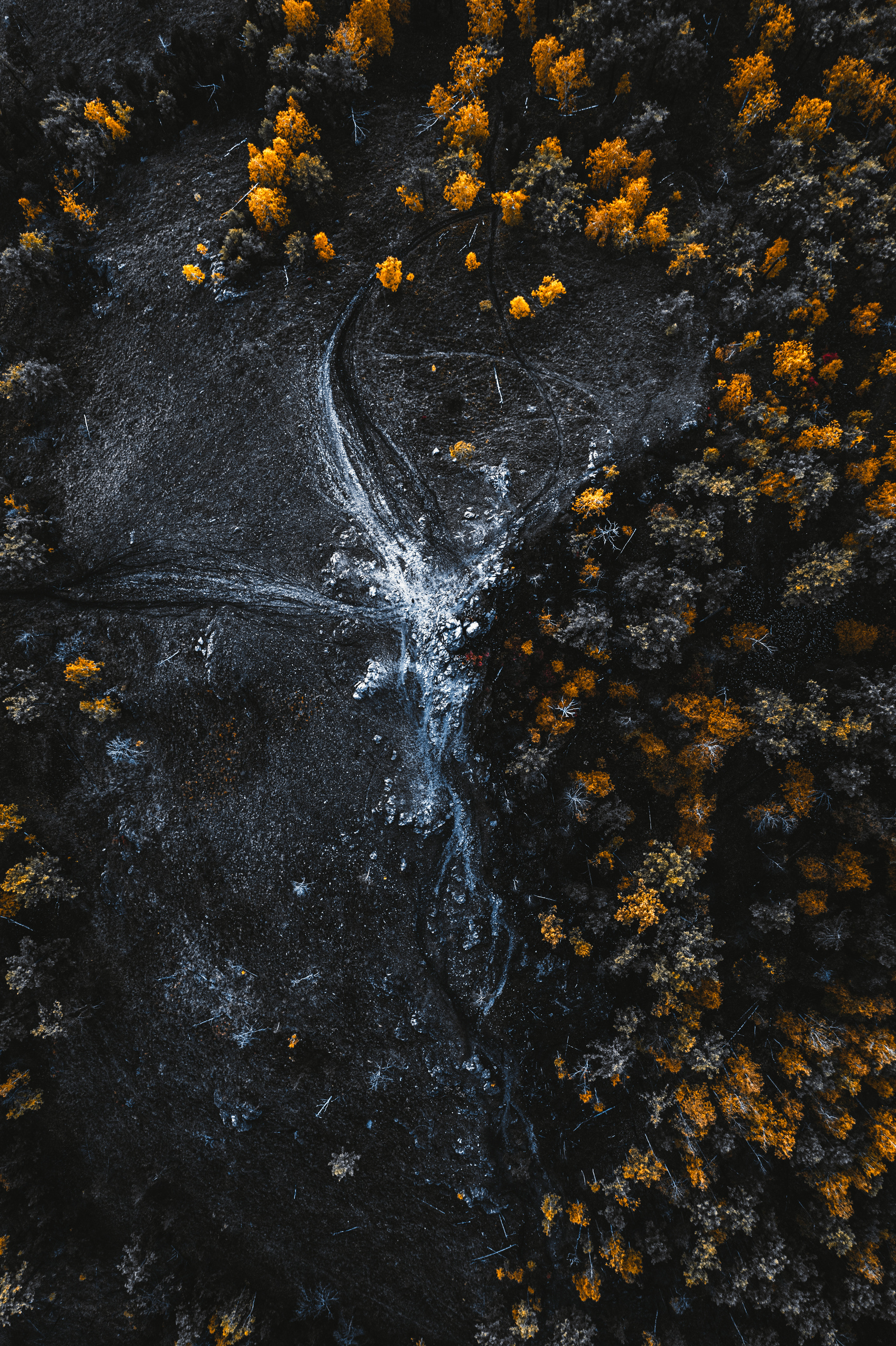 Фотографии с DJI Mavic Mini. Свадебный фотограф в Москве | Антон Матвеев