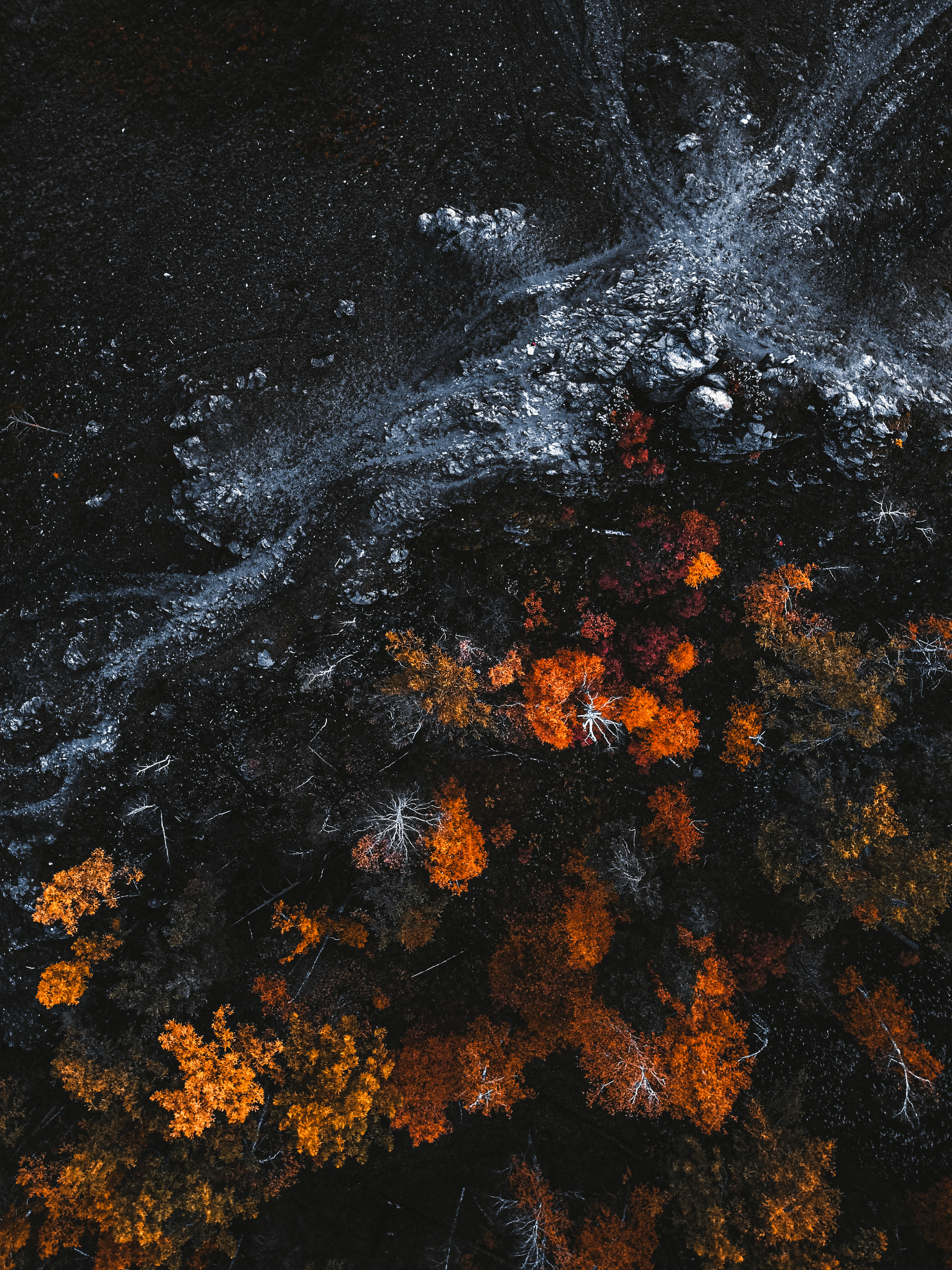 Фотографии с DJI Mavic Mini. Свадебный фотограф в Москве | Антон Матвеев