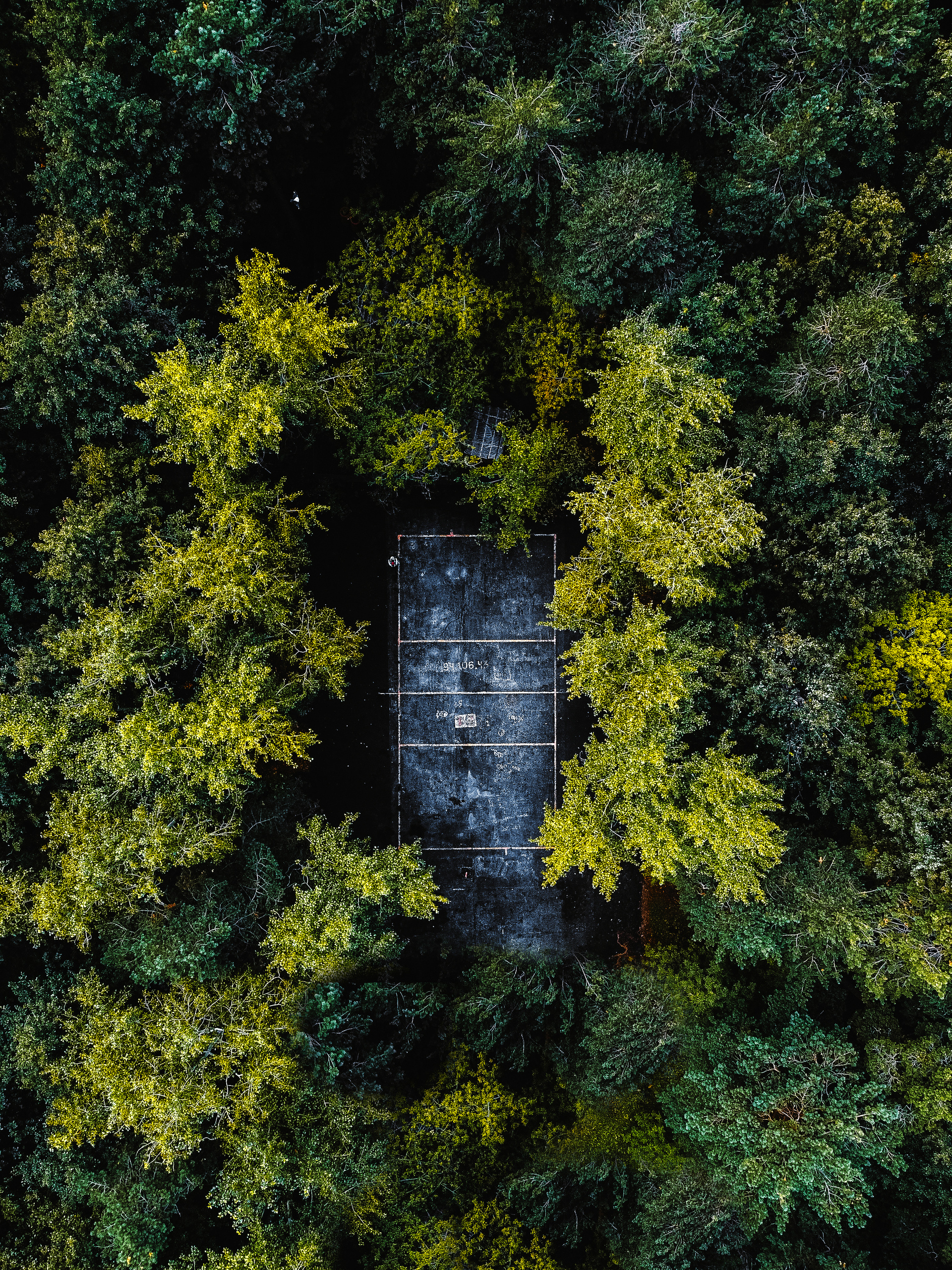 Фотографии с DJI Mavic Mini. Свадебный фотограф в Москве | Антон Матвеев