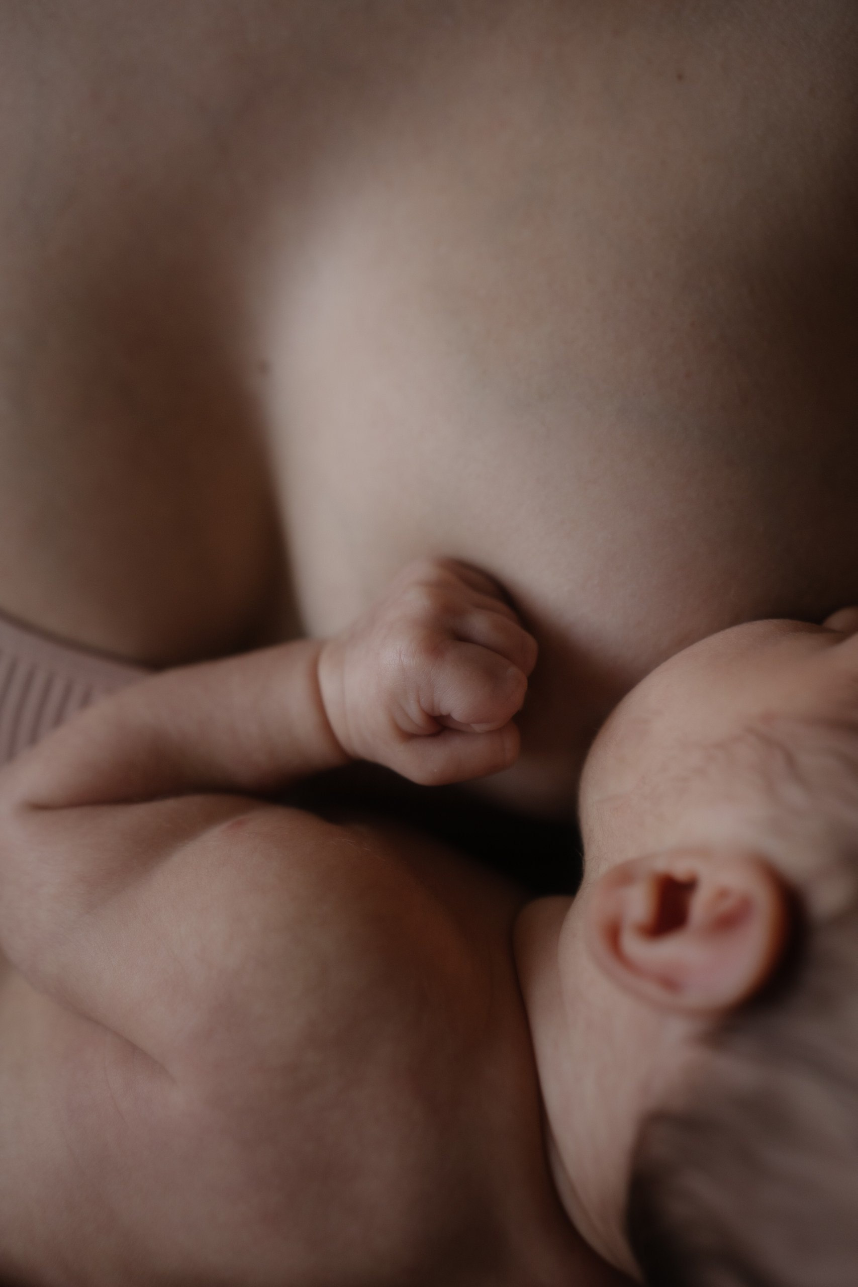 Семейный фотограф в Новосибирске Екатерина Лопатина