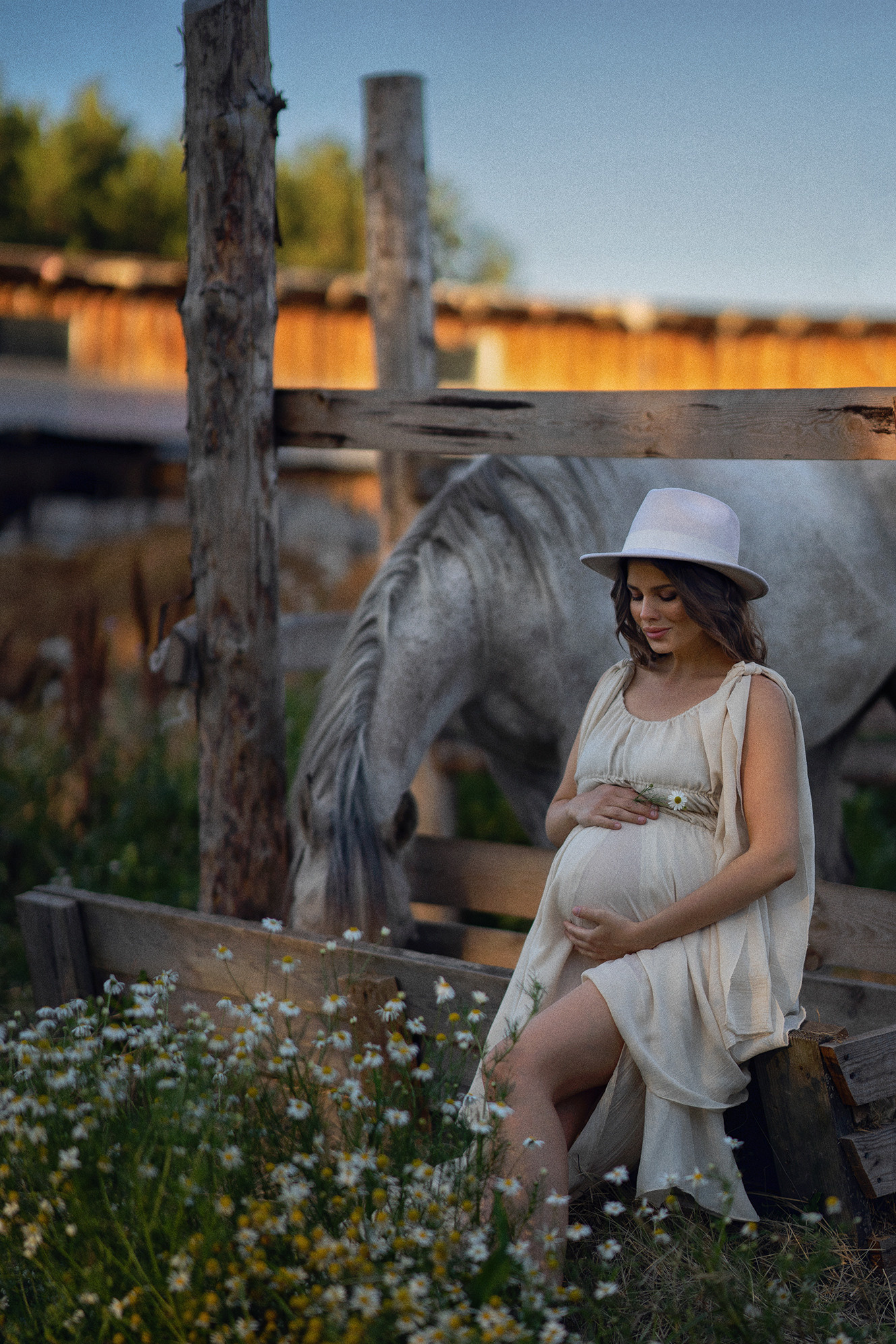 Фотосессия с лошадьми