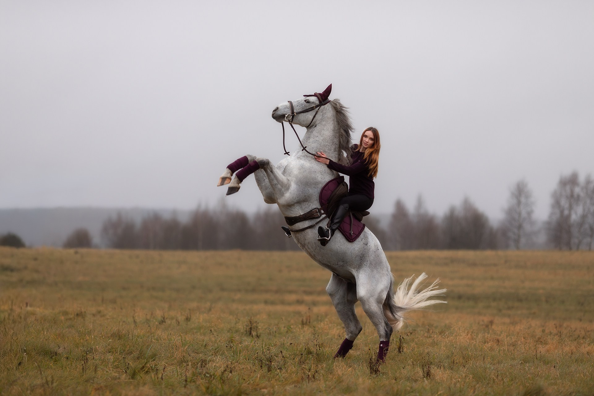 Фотосессии на лошадях в Москве и МО: конная фотосессия от фотографа Светланы Кутейниковой. Фотосессии с лошадьми в Москве от фотографа Кутейниковой Светланы