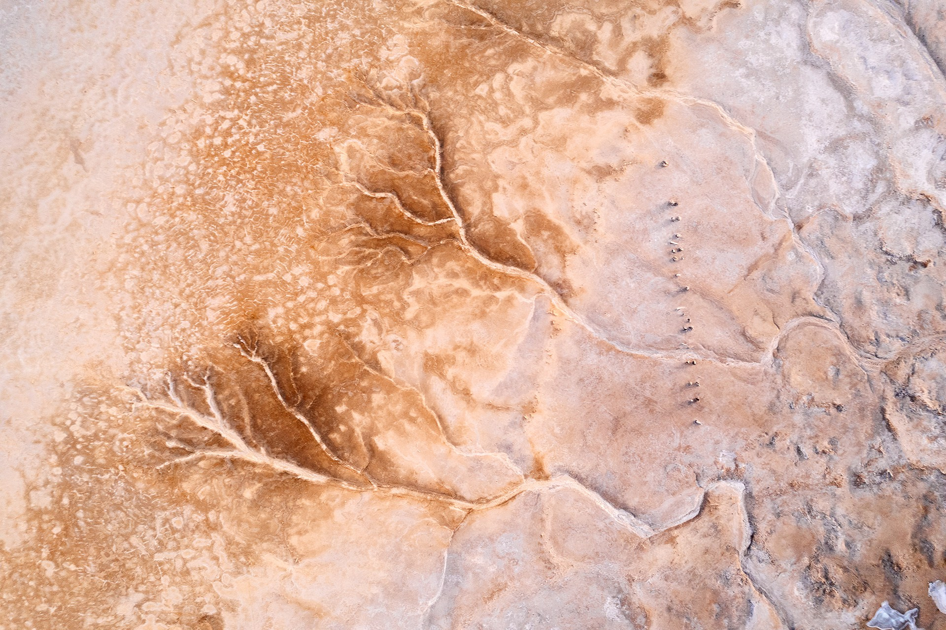 Волгоградская и астраханская области Весна 2026 | Фотограф Дмитрий Купрацевич. Дмитрий Купрацевич профессиональный пейзажный и travel-фотограф