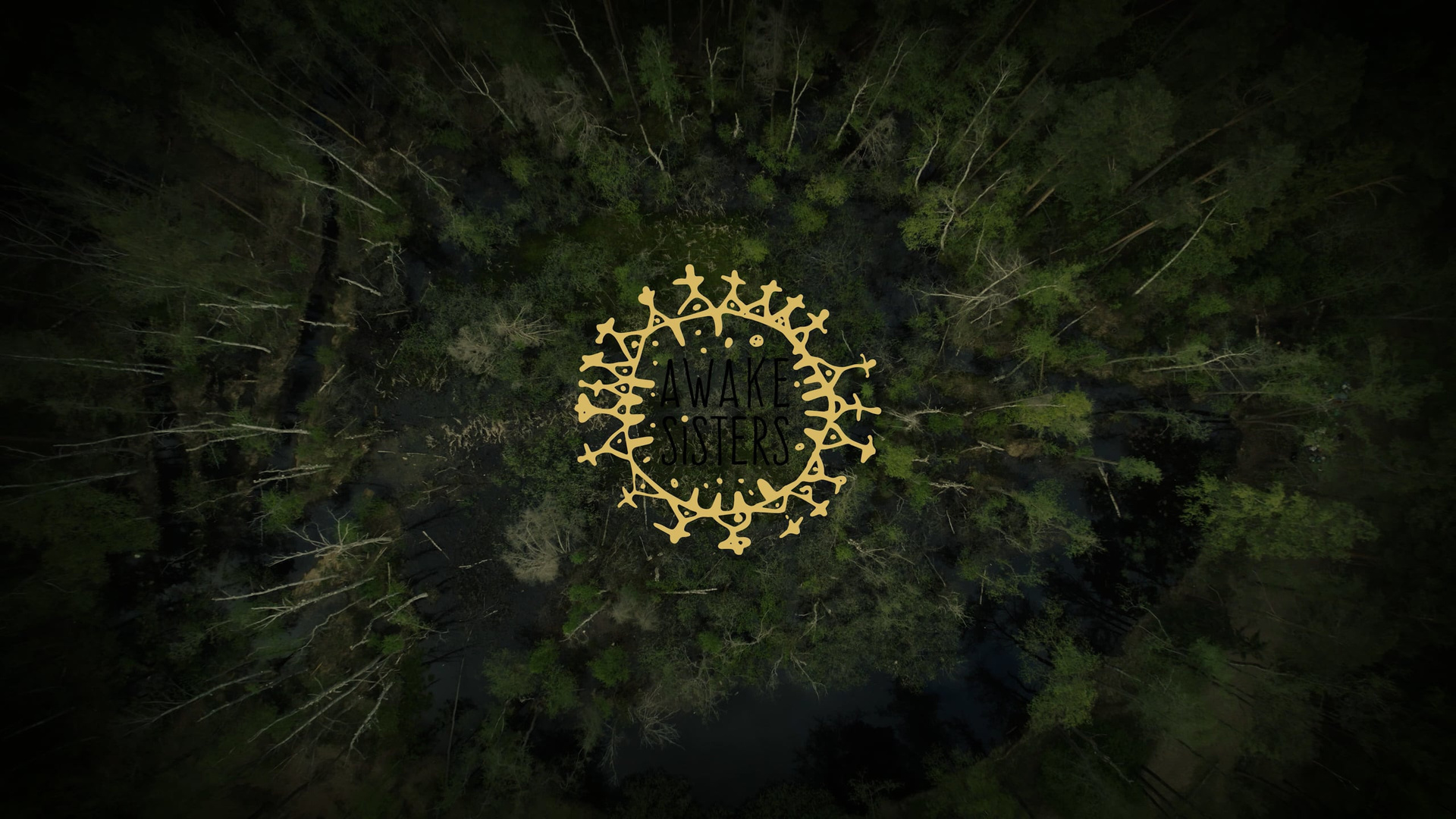 Коммерческая видеосъемка для бизнеса | Видеосъемка бизнес проектов