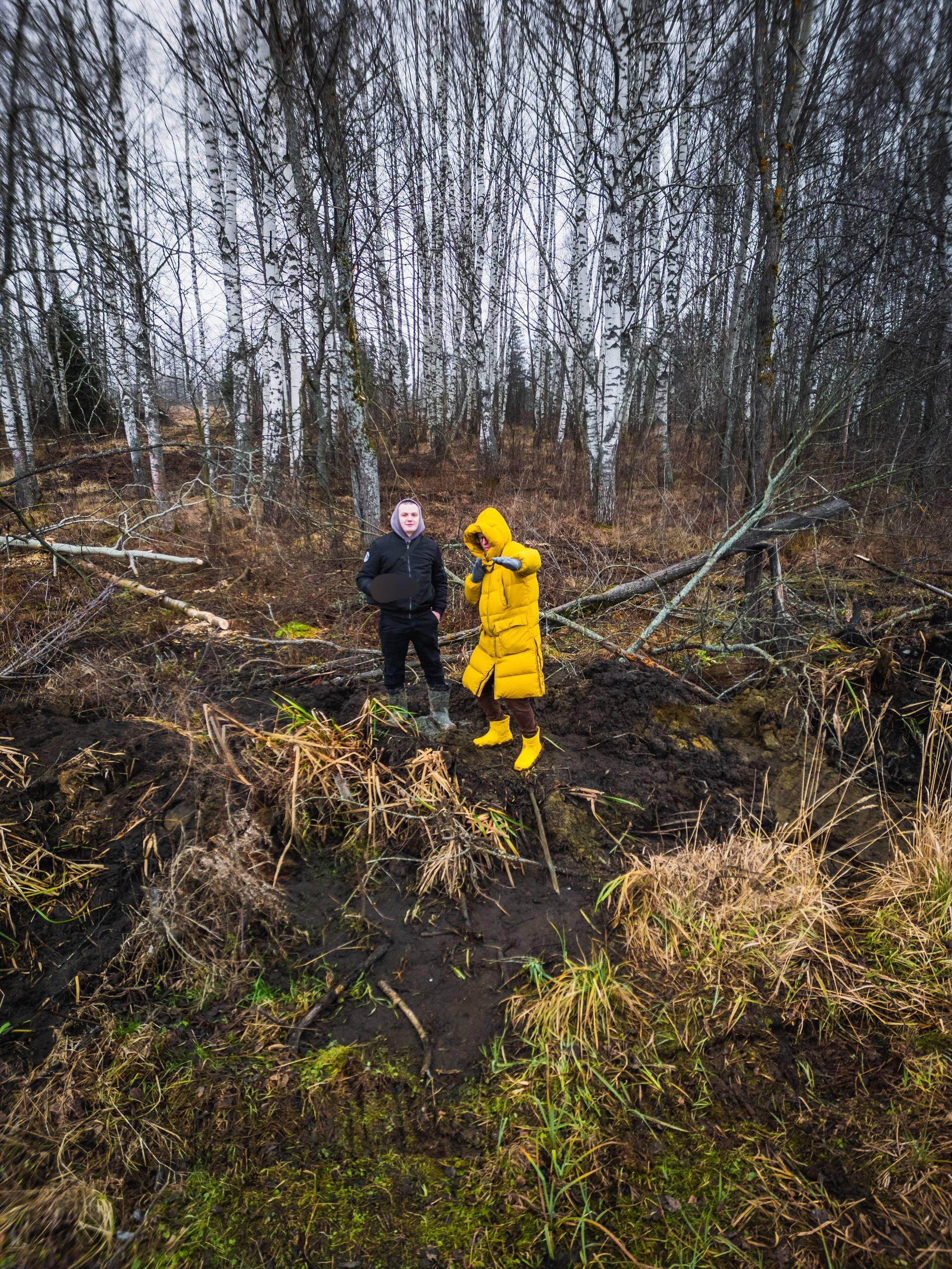 Эко-парк. DRONBERRY — Аэросъемка Ярославль