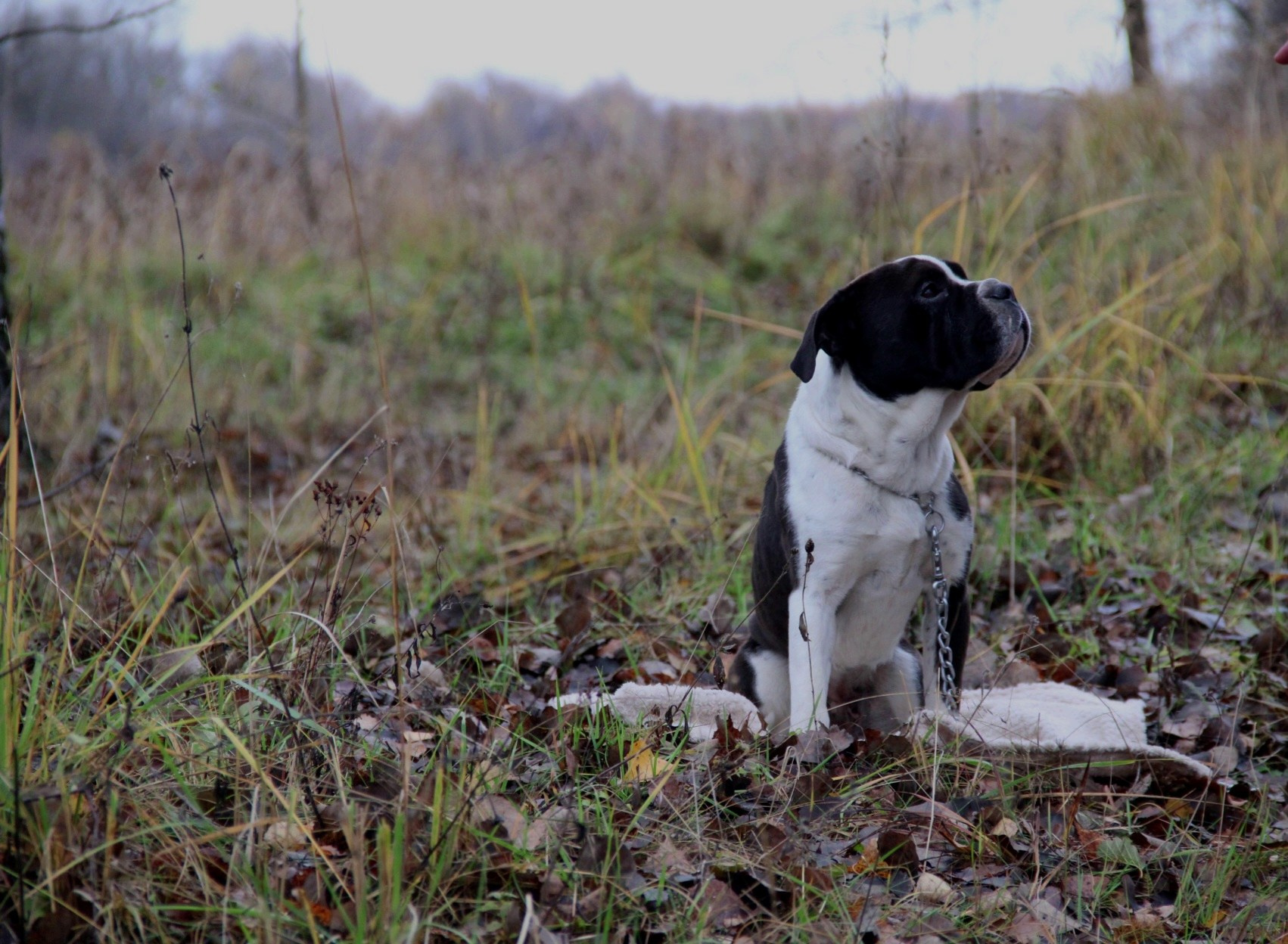 Катя Попова|ЛайфСтайл фотограф