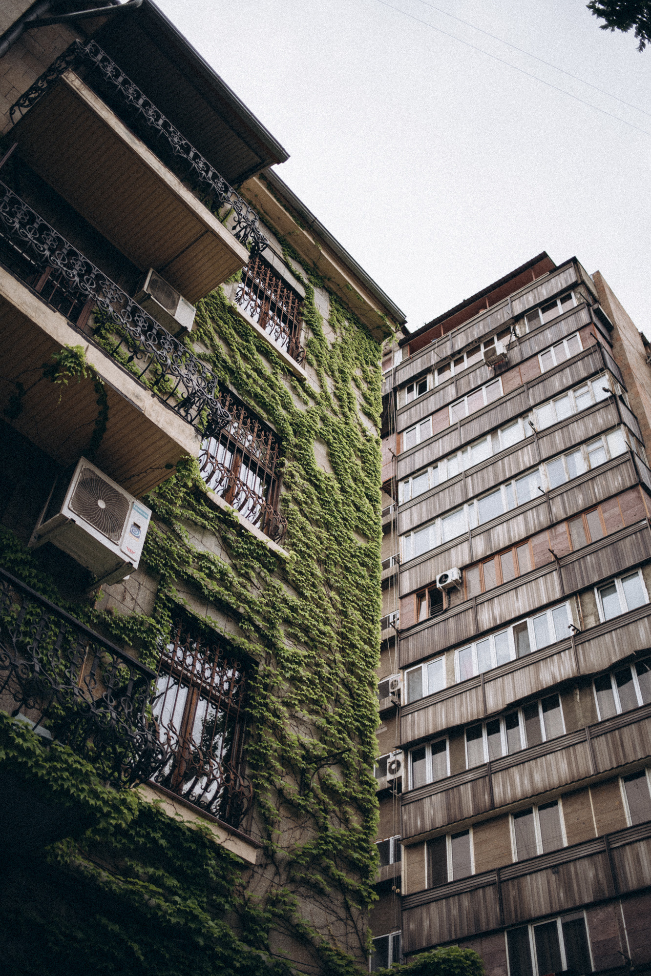 Блог. Даша Яковенко Фотограф Спб