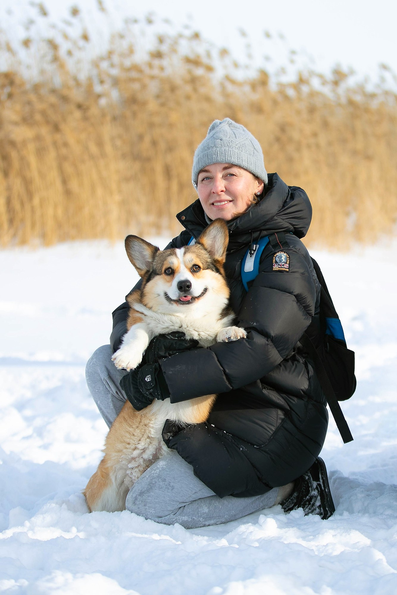 Корги-туса. Фотограф-анималист в Омске Екатерина Маричева