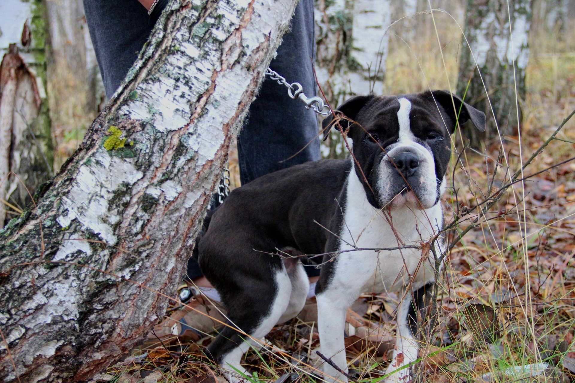 Катя Попова|ЛайфСтайл фотограф