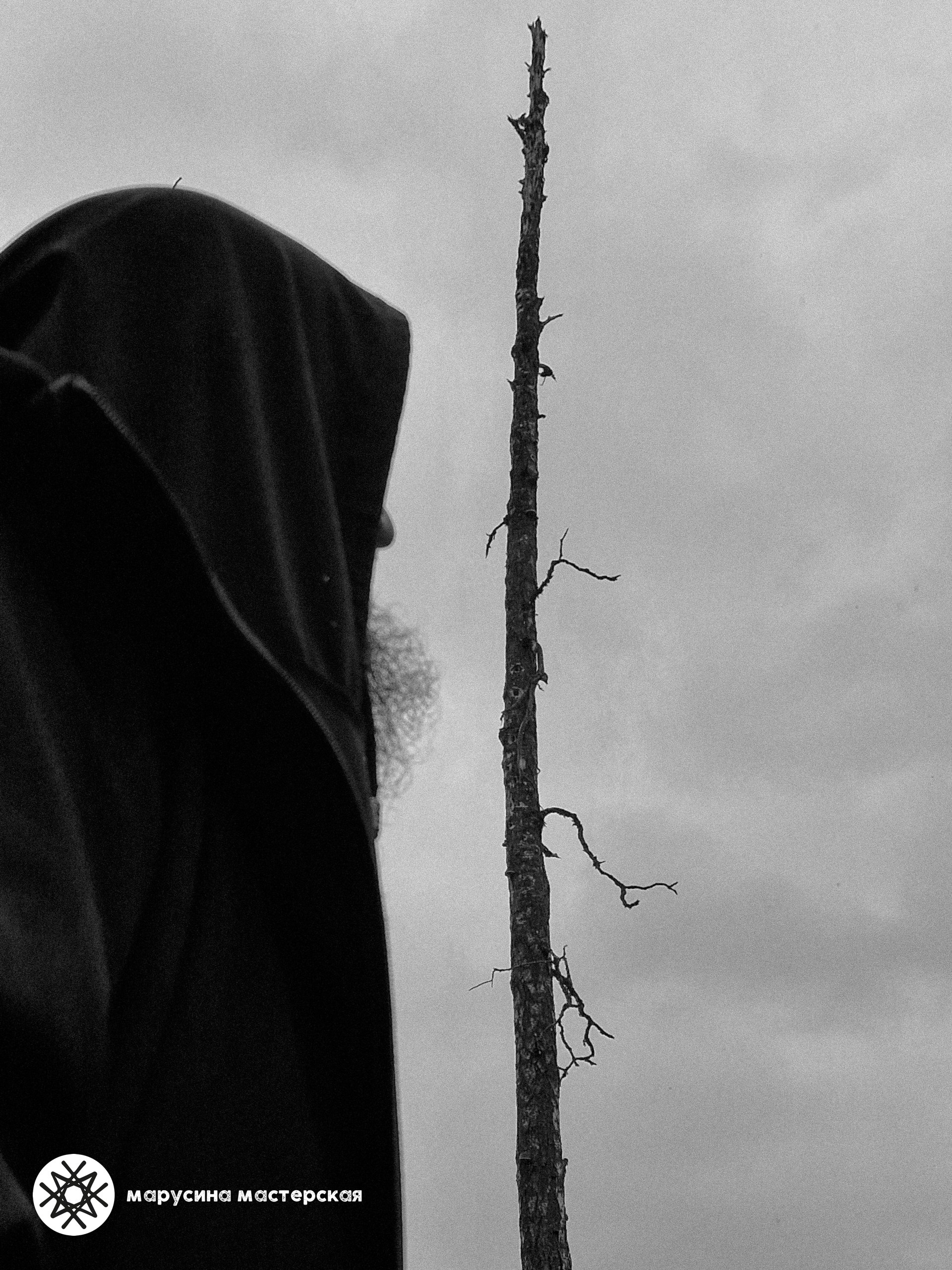 Авторская фотография участницы практикума «Метафорическая фотография» — Ольга Ревина