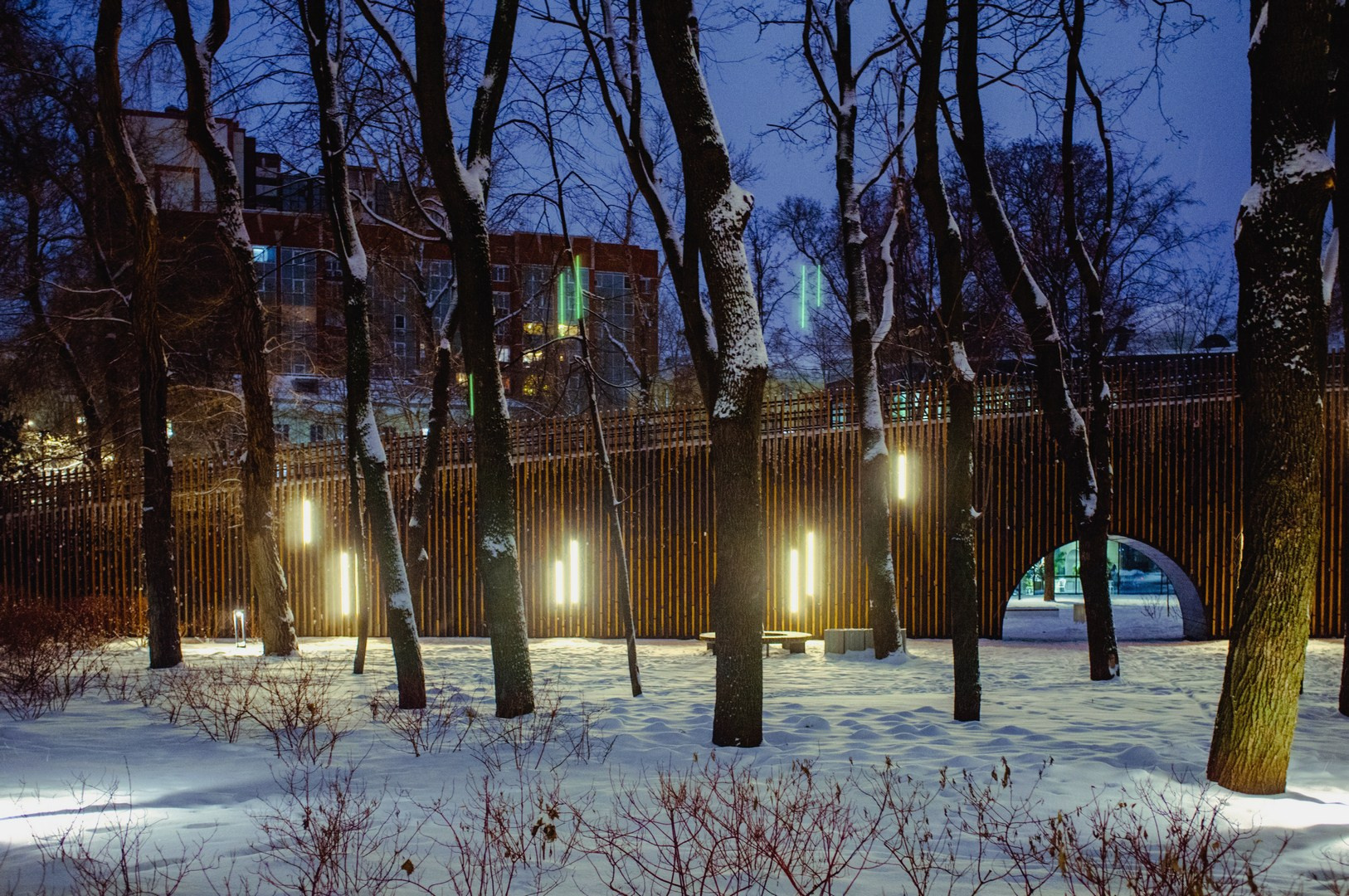 Зима уходящая. Руслан Шувалов (поэтограф)