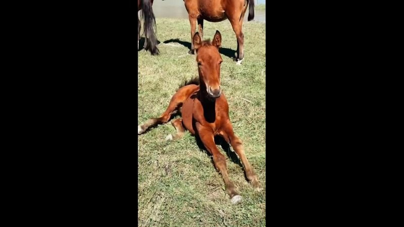 ТУТ ВСЕ ОТЗЫВЫ И НЕБОЛЬШИЕ ВИДЕО. Авторские туры для девушек. путешествия, тут можно купить тур