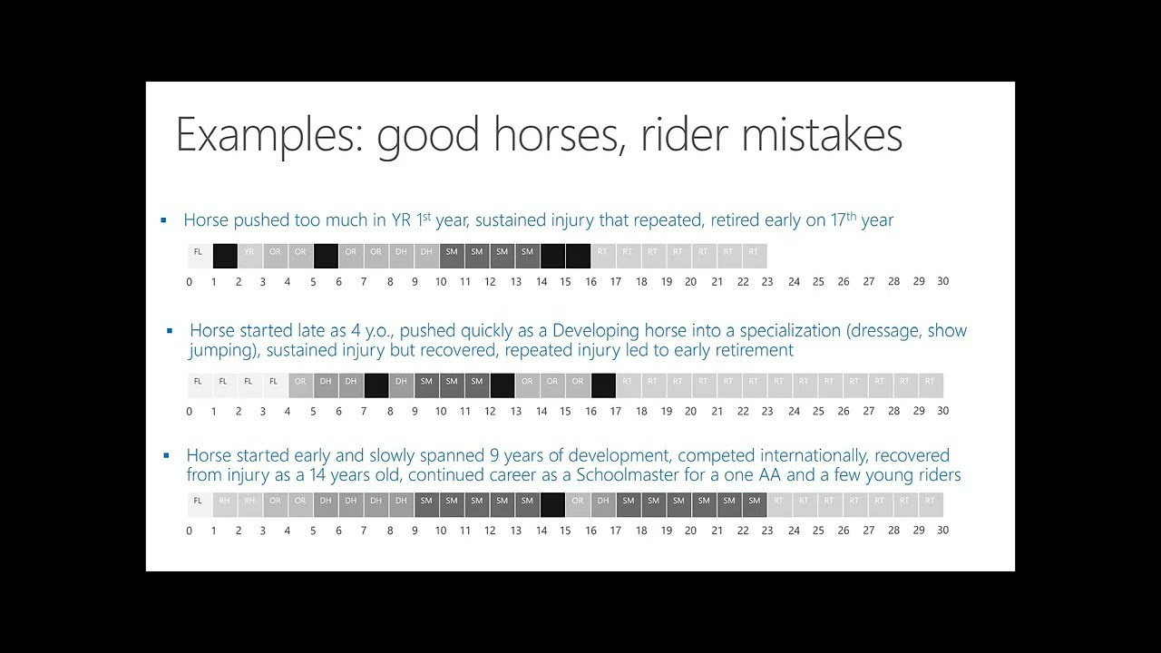 Horse as athlete. Лиана Антонович | Конные стратегии
