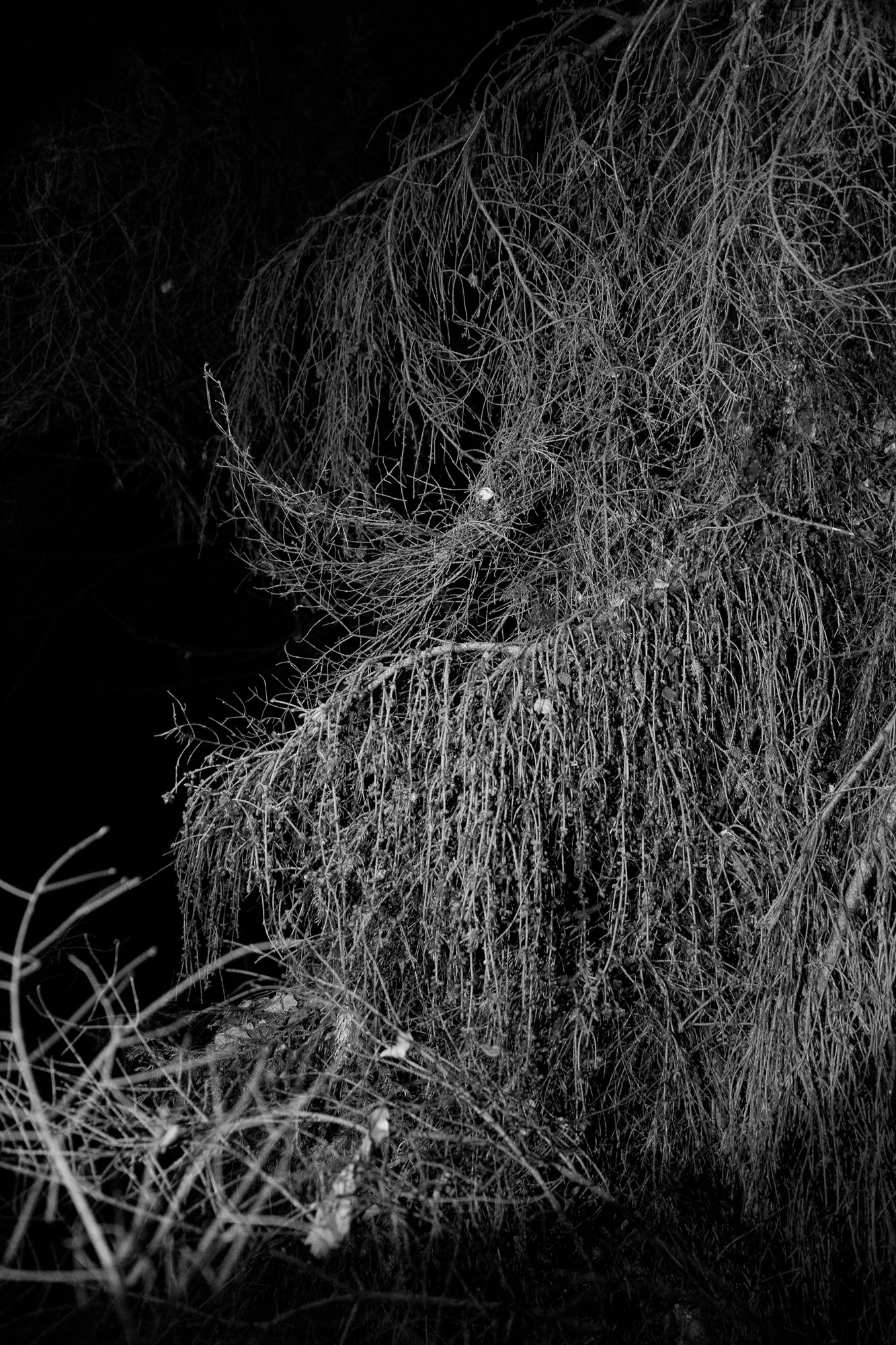 Пограничье. Юлия Леонова — фотограф, визуальный художник Минск