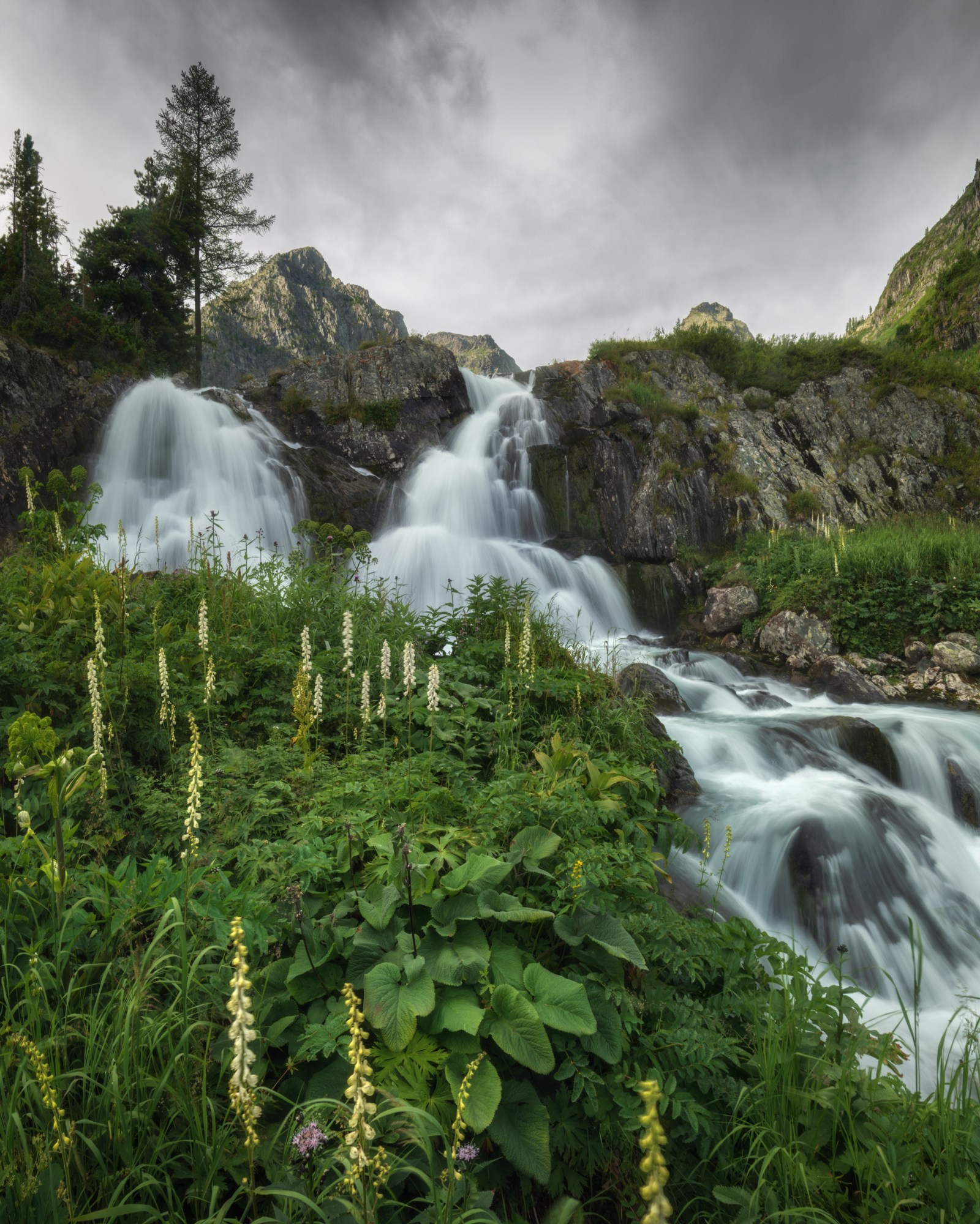 Лето в Горном Алтае. Профессиональный пейзажный фотограф Алёна Рубан