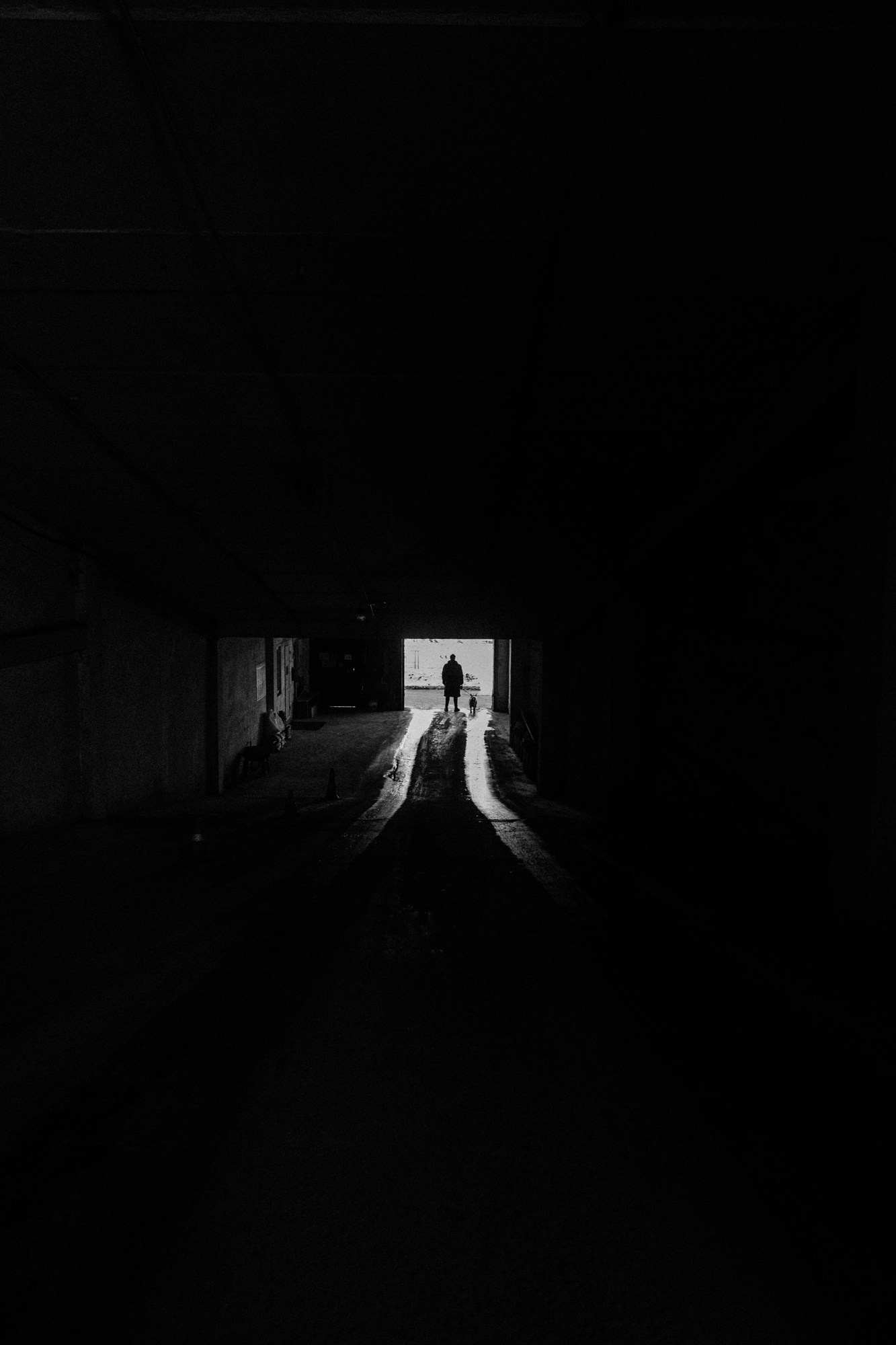 Съемка с животными на улице: искренние эмоции и зимняя атмосфера.