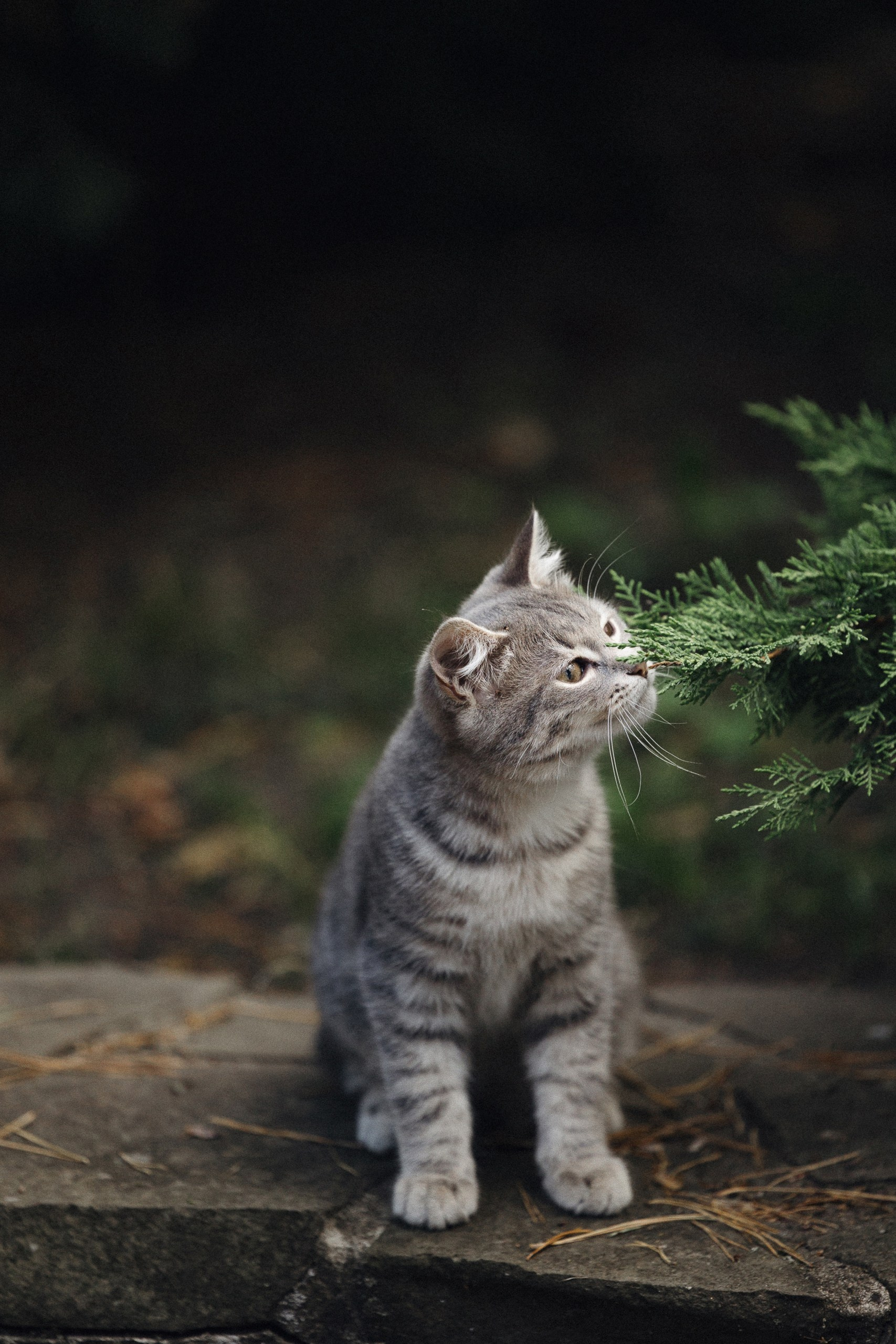Загородная свадьба Влада и Натальи в цвете Марсала. Главная