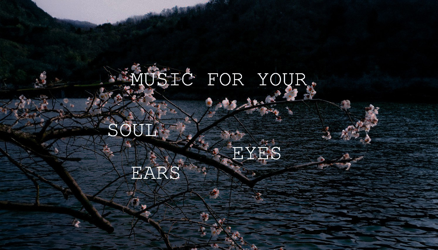 Музыкальные клипы для ваших ушей, глаз и души. Портретный и fashion-фотограф в Санкт-Петербурге Олеся Поле