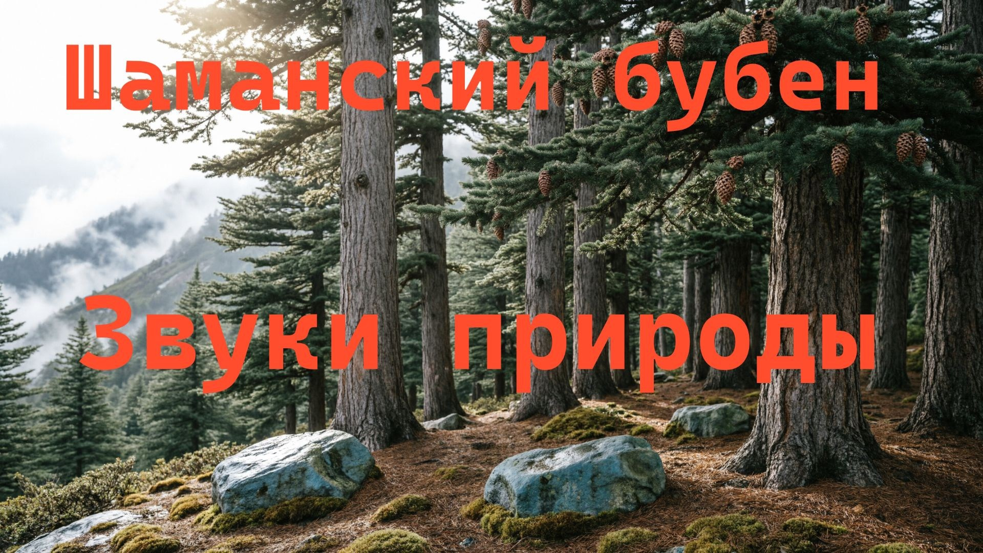 Шаманский бубен и пение птиц. Обновление. Музыка для медитации, транса, отдыха