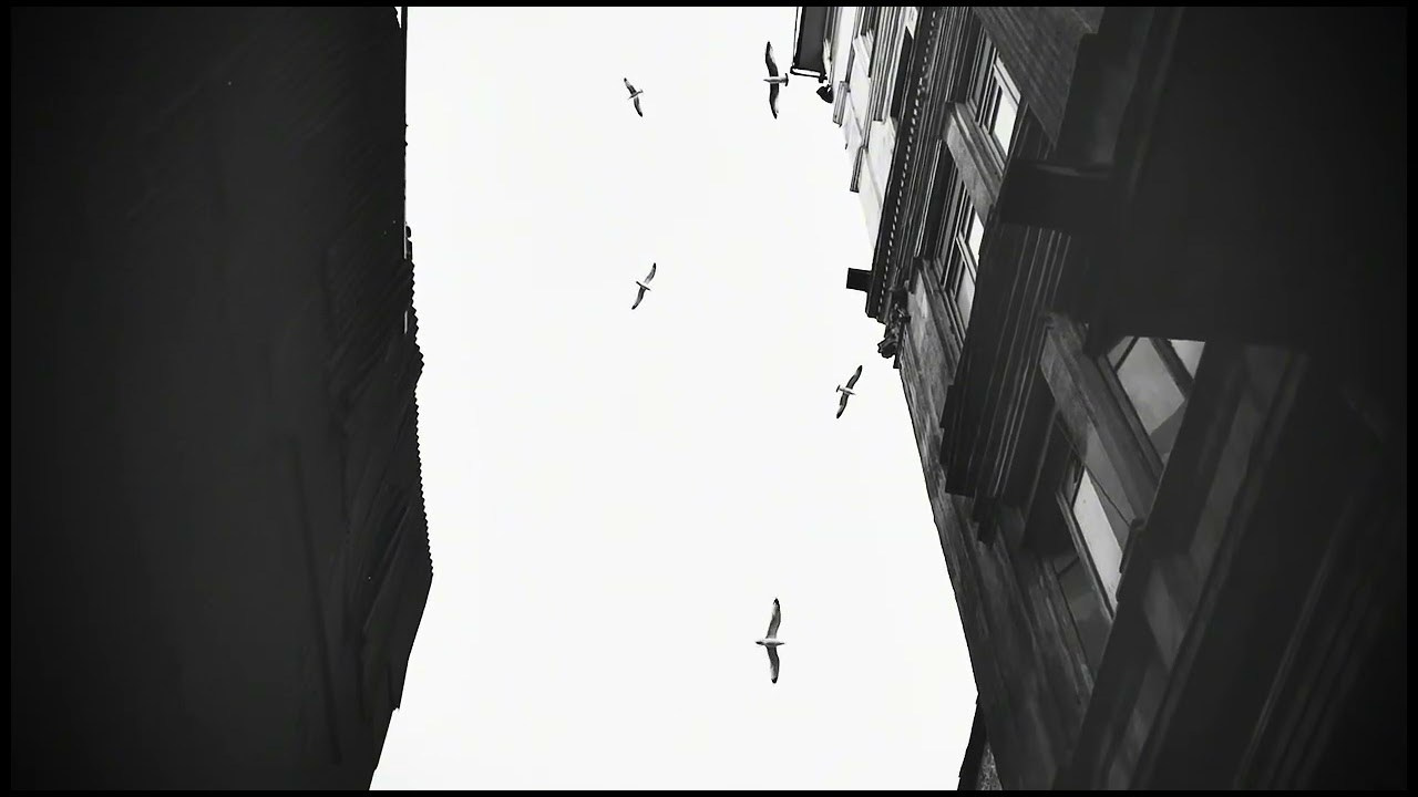 Filming life. POLINA MÔMOT