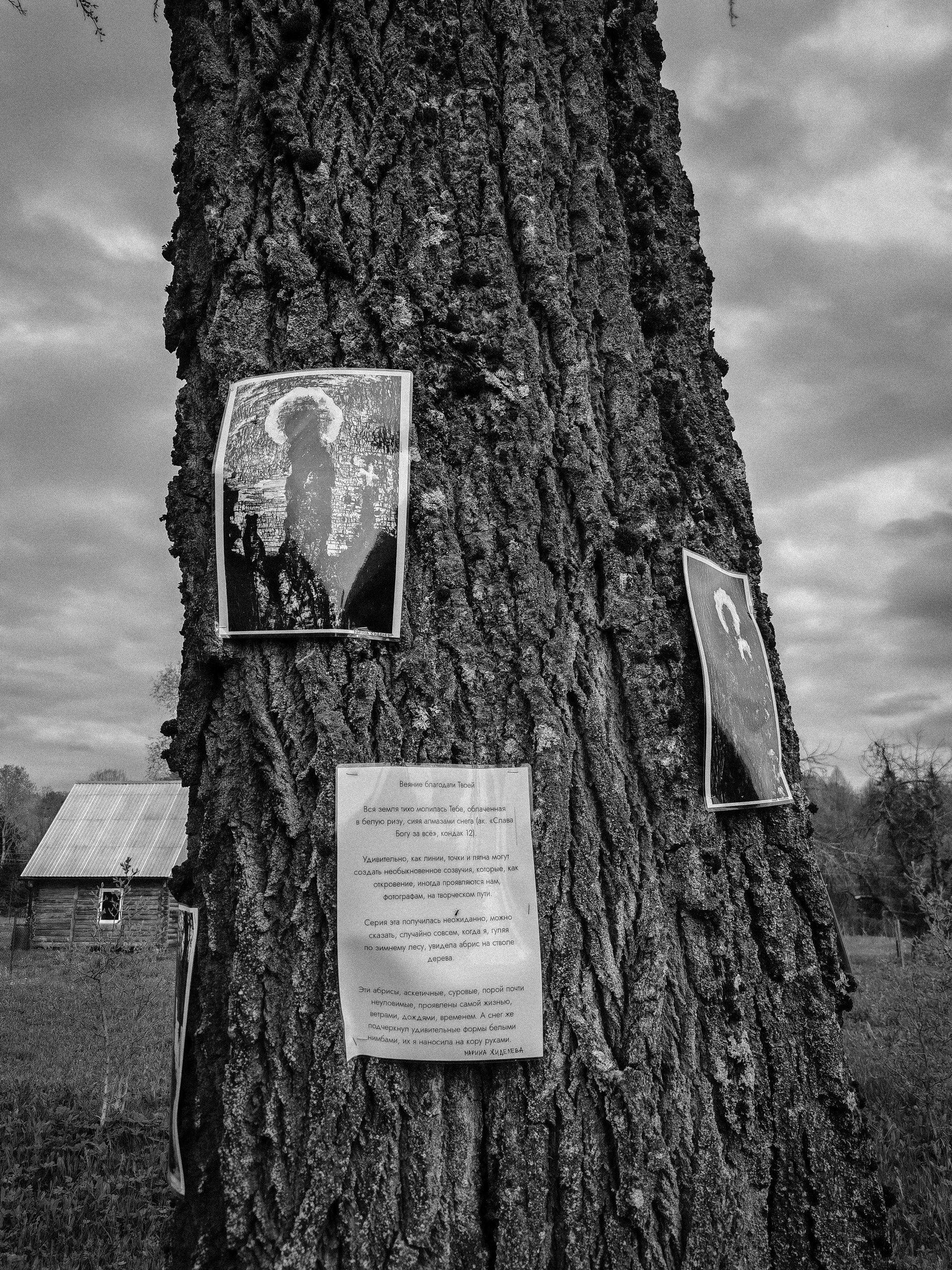 Открытие выставки «Русское осознанное». Фотохудожник Марина Жиделева