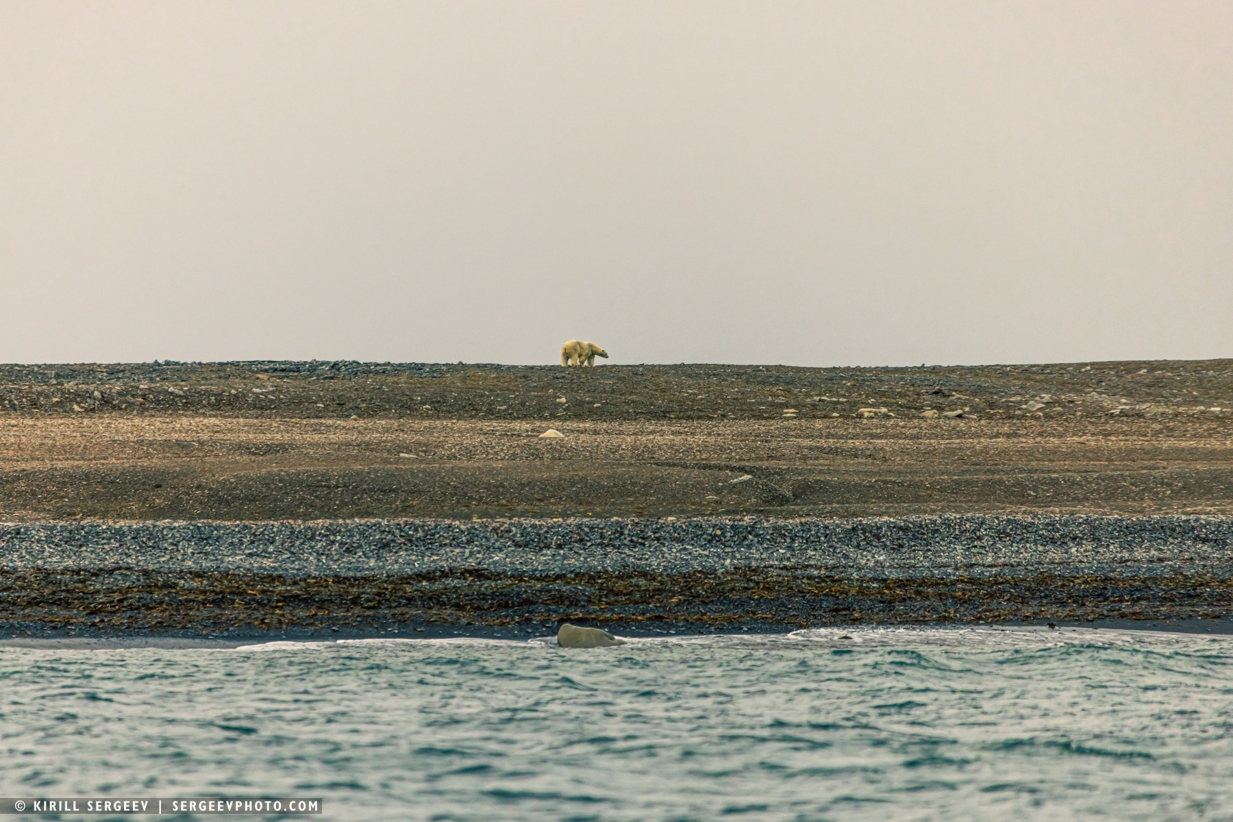 北極奧德賽. 攝影師 基里爾·謝爾蓋耶夫 |莫斯科