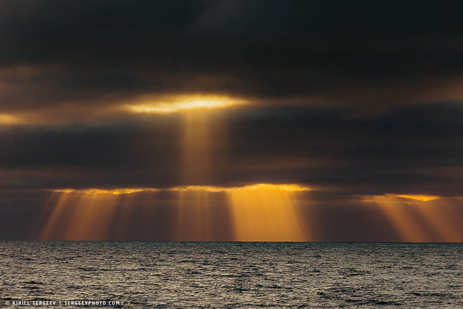 Арктическая одиссея. Фотограф Кирилл Сергеев | Москва