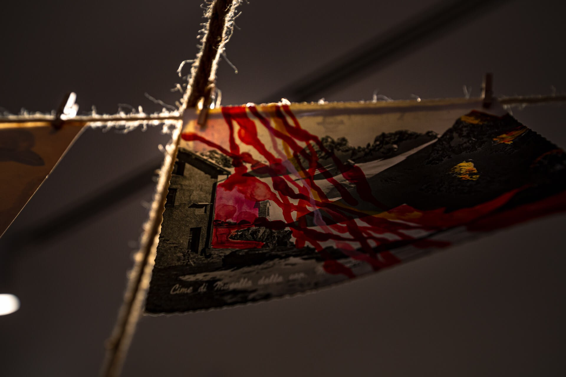 Secret Birds of the W-City (2022). Xenia Ostrovskaya